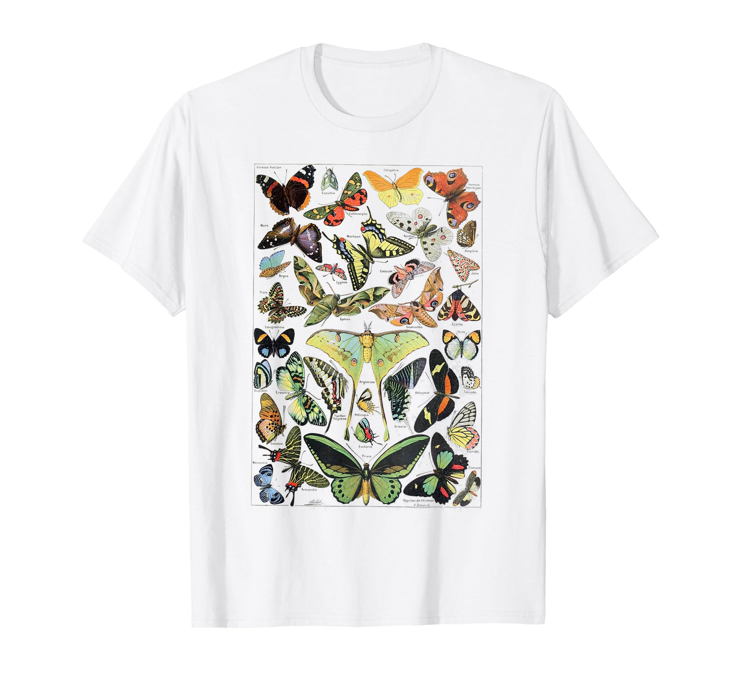 Vintage Butterflies Butterfly Collection scientific T-Shirt