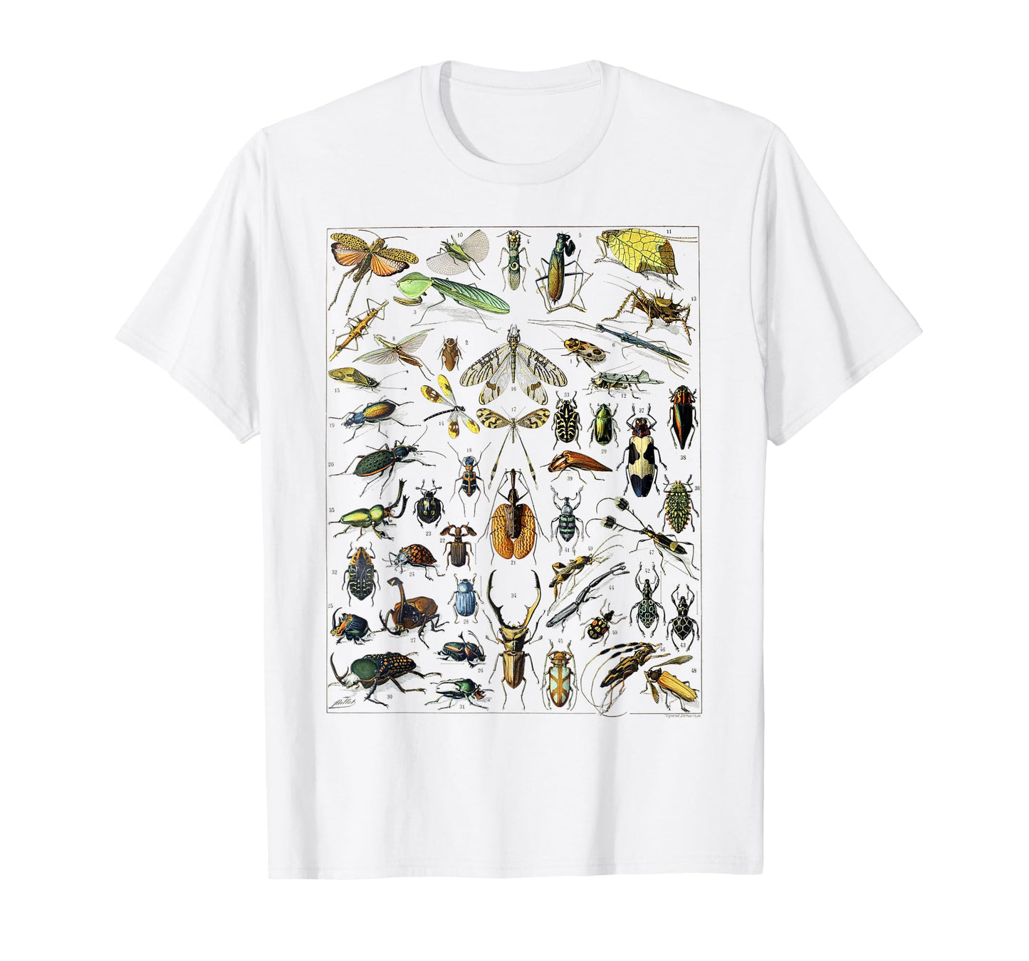 Insect Bug Entomology Print Gift Bug Print T-Shirt