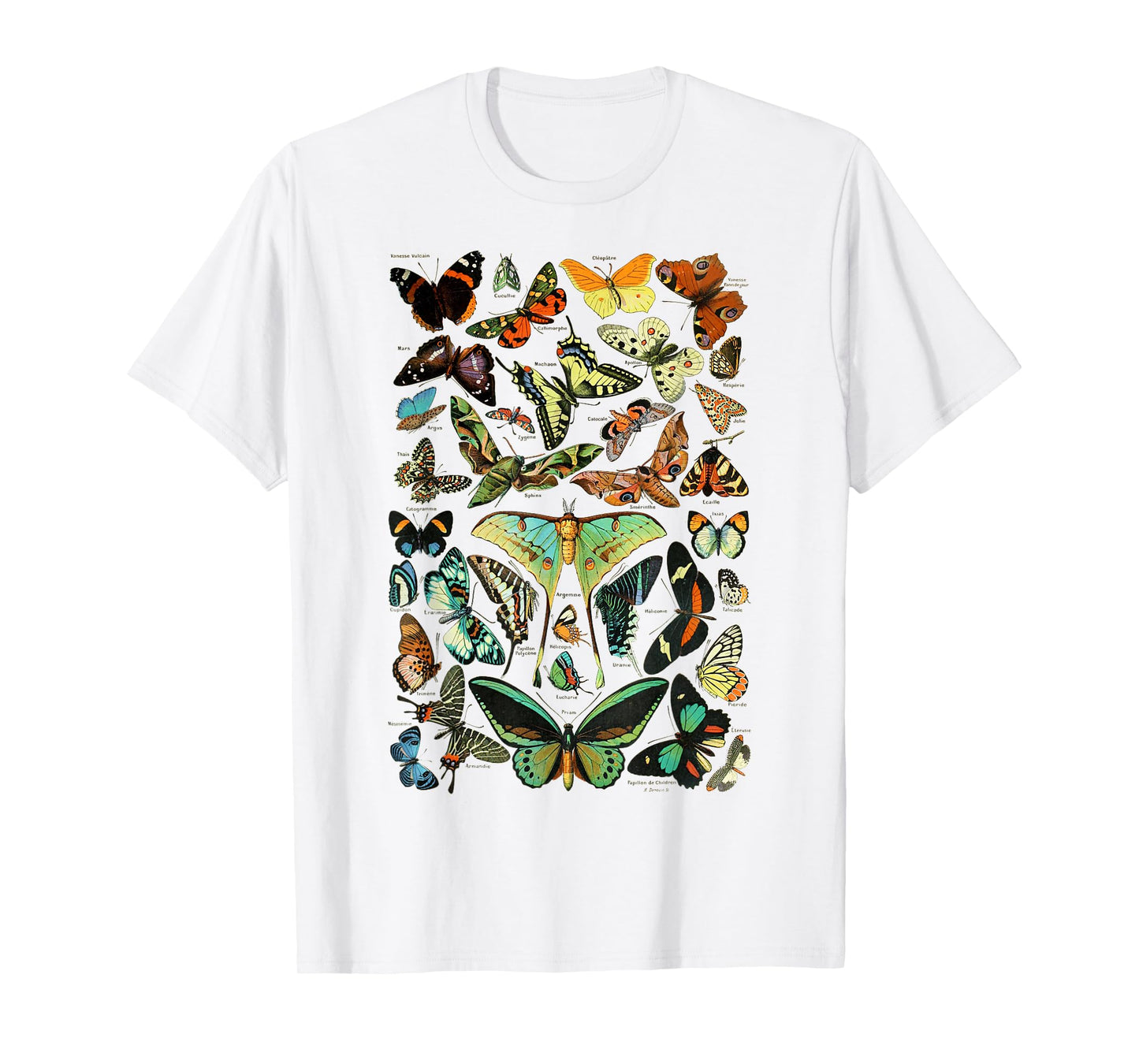 Butterflies Butterfly Collection Scientific T-Shirt