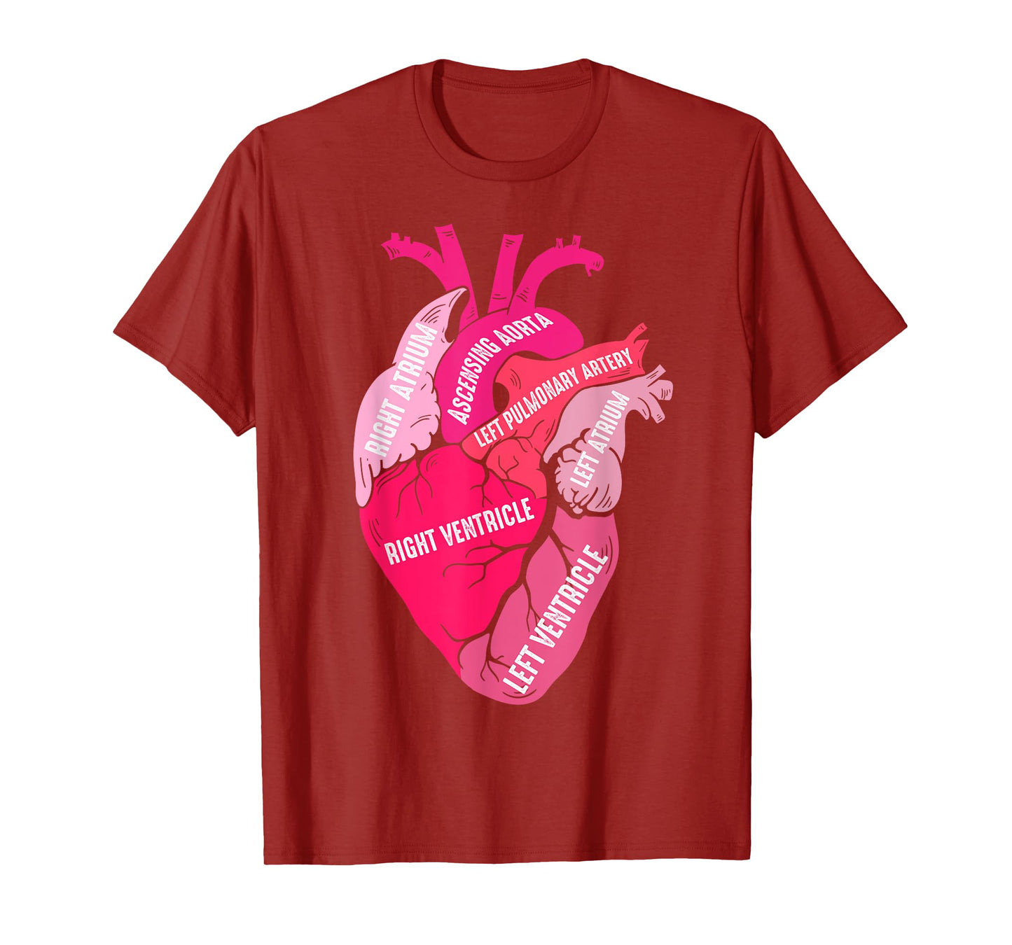 Parts Of Heart Cardiology Men Women Anatomical Cardiac T-Shirt