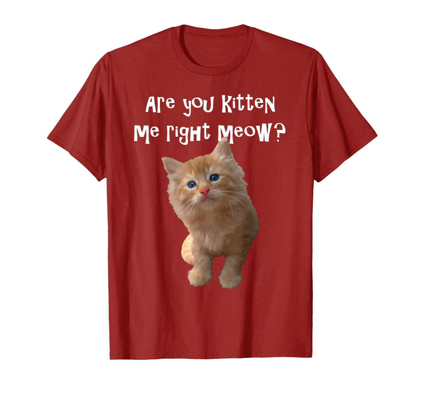 Are You Kitten Me Right Meow? T-shirt