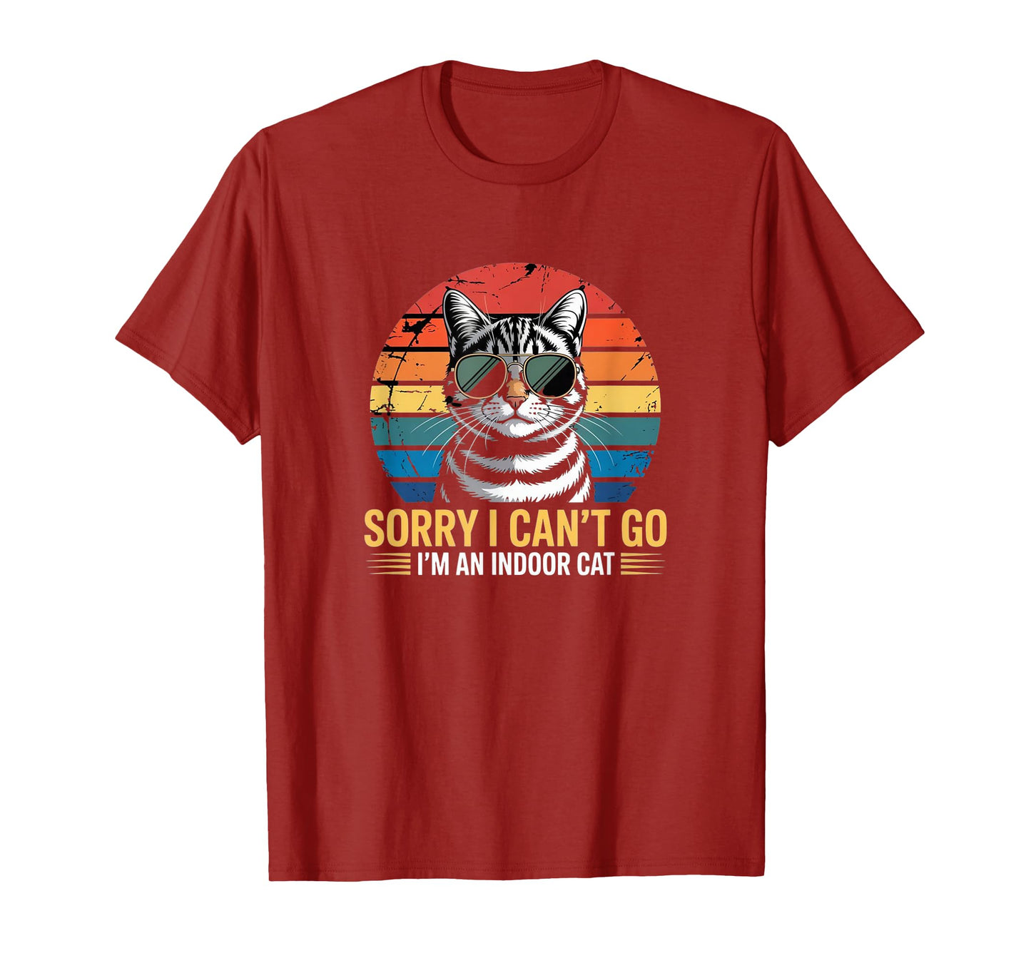 Sorry I Can’t Go – I’m an Indoor Cat Vintage Tee T-Shirt