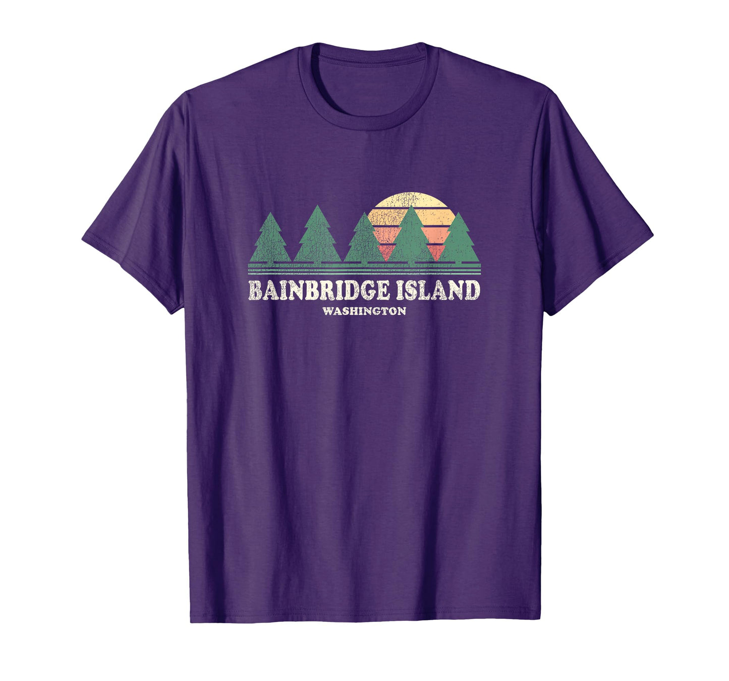 Bainbridge Island WA Vintage Throwback Tee Retro 70s Design T-Shirt