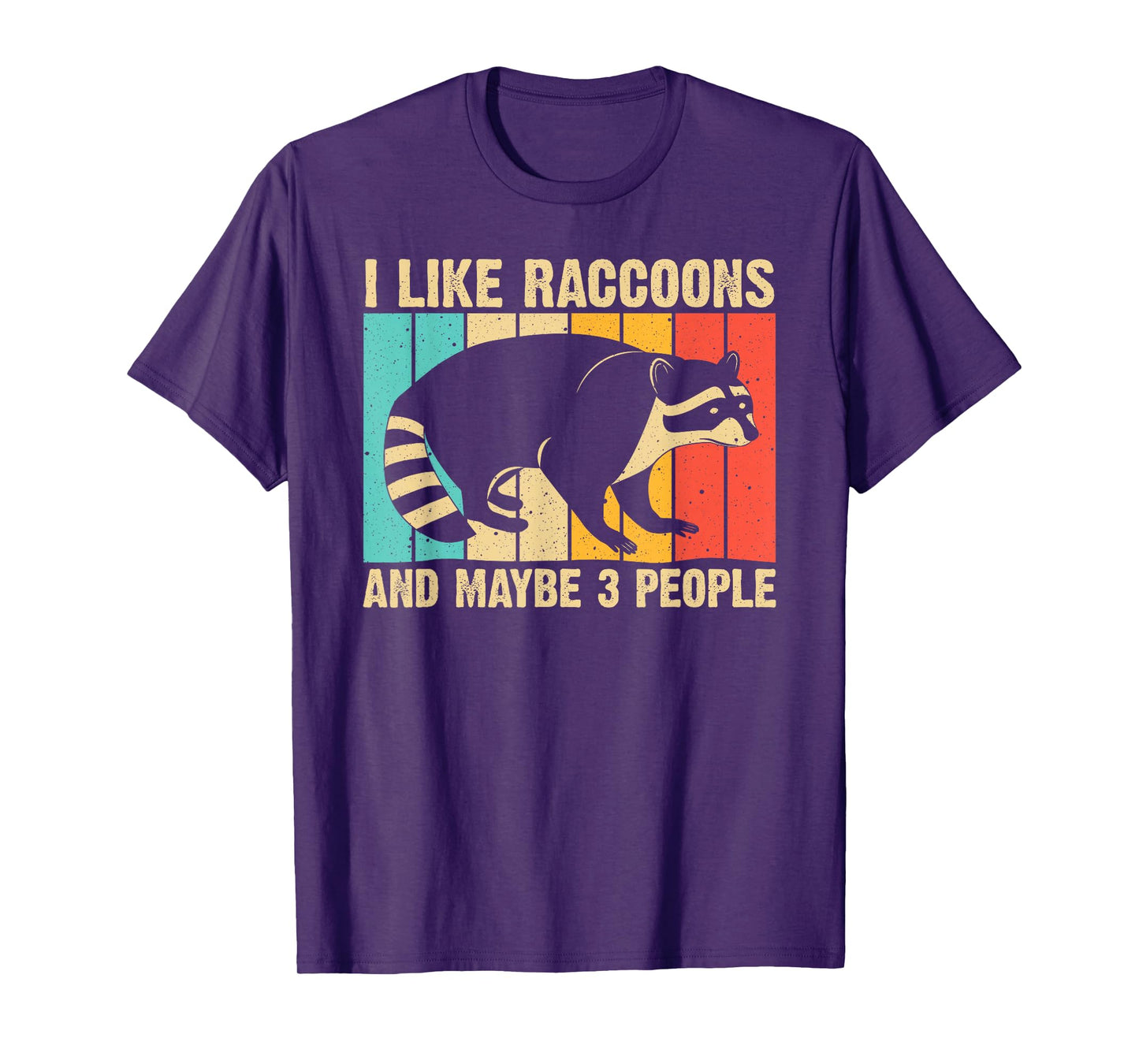 Funny Raccoon Design For Men Women Raccoon Lover Introvert T-Shirt