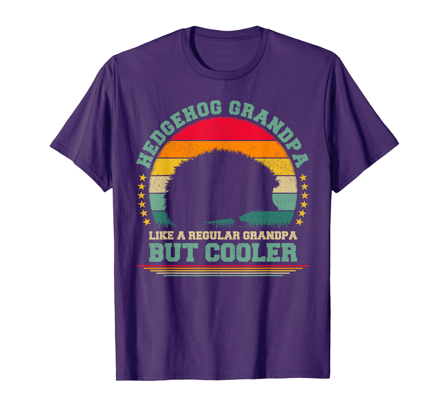 Hedgehog Lover Funny Vintage Hedgehog Grandpa Father's Day T-Shirt