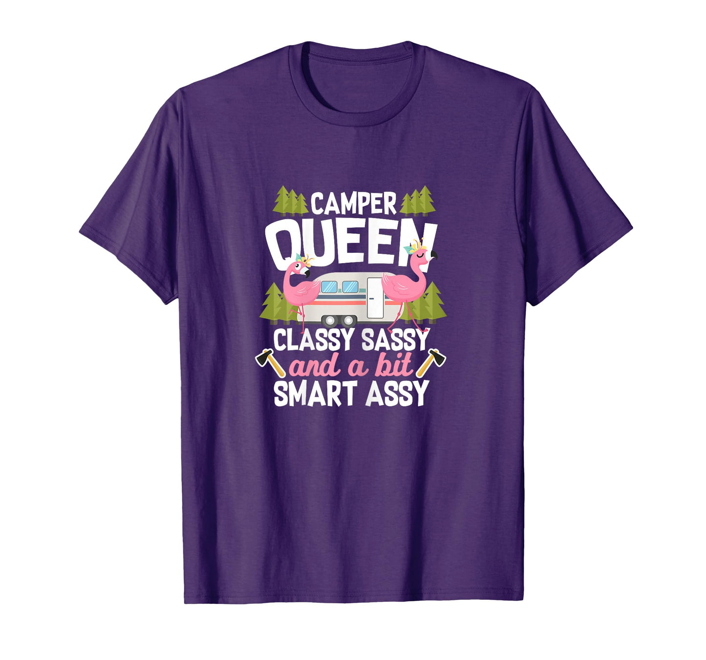 RV Camping Camper Classy Sassy and a Bit Smart Assy Flamingo T-Shirt