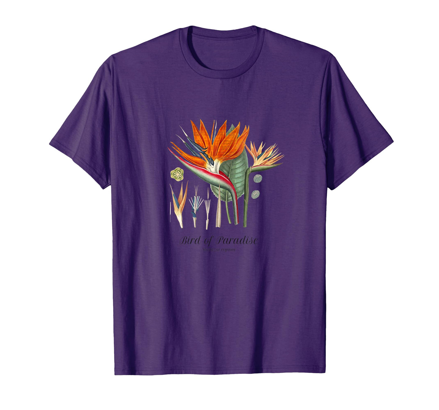 Womens Bird of Paradise Botanical, Tropical Plants T-Shirt