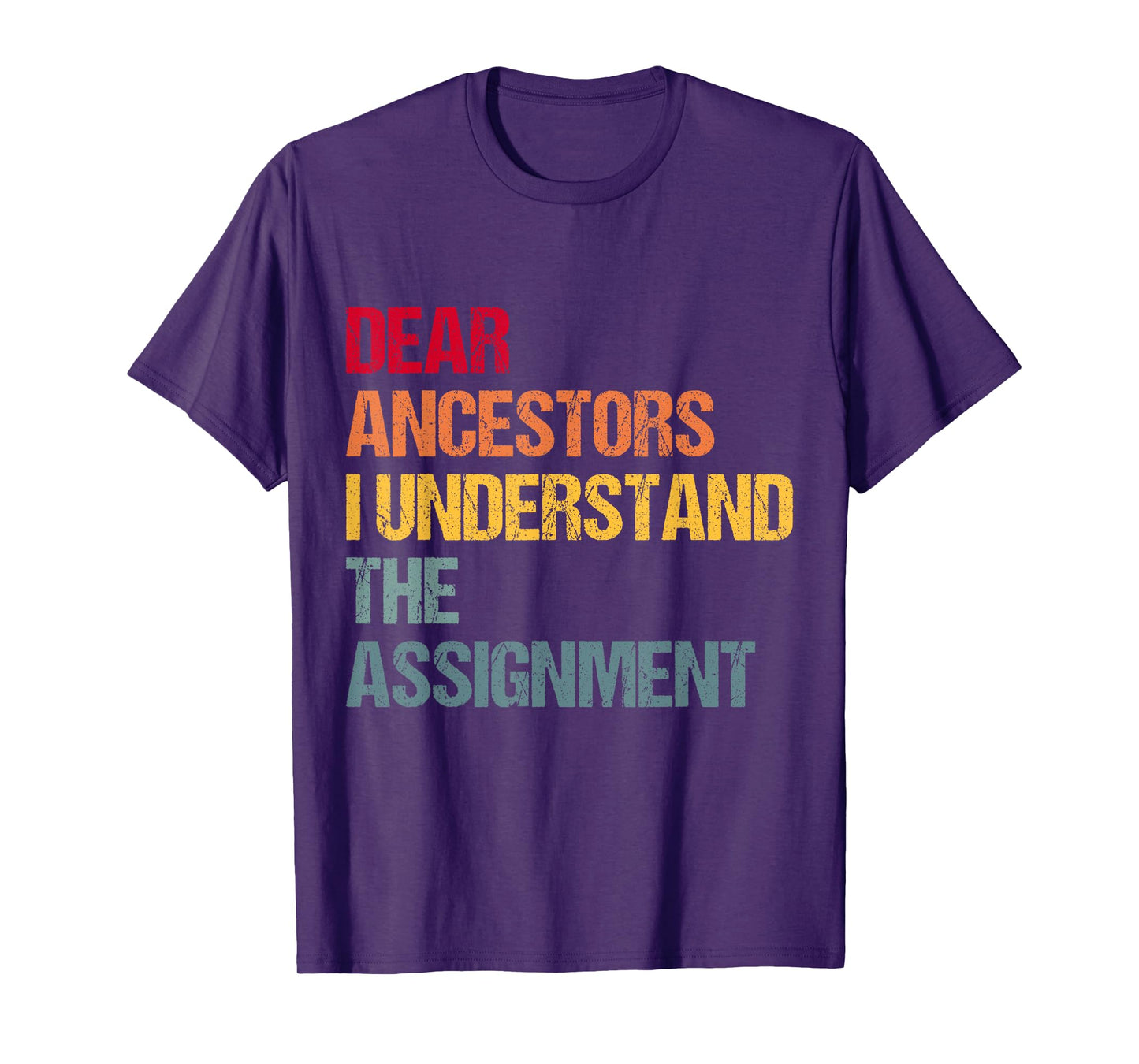 Dear Ancestors I Understand The Assignment T-Shirt