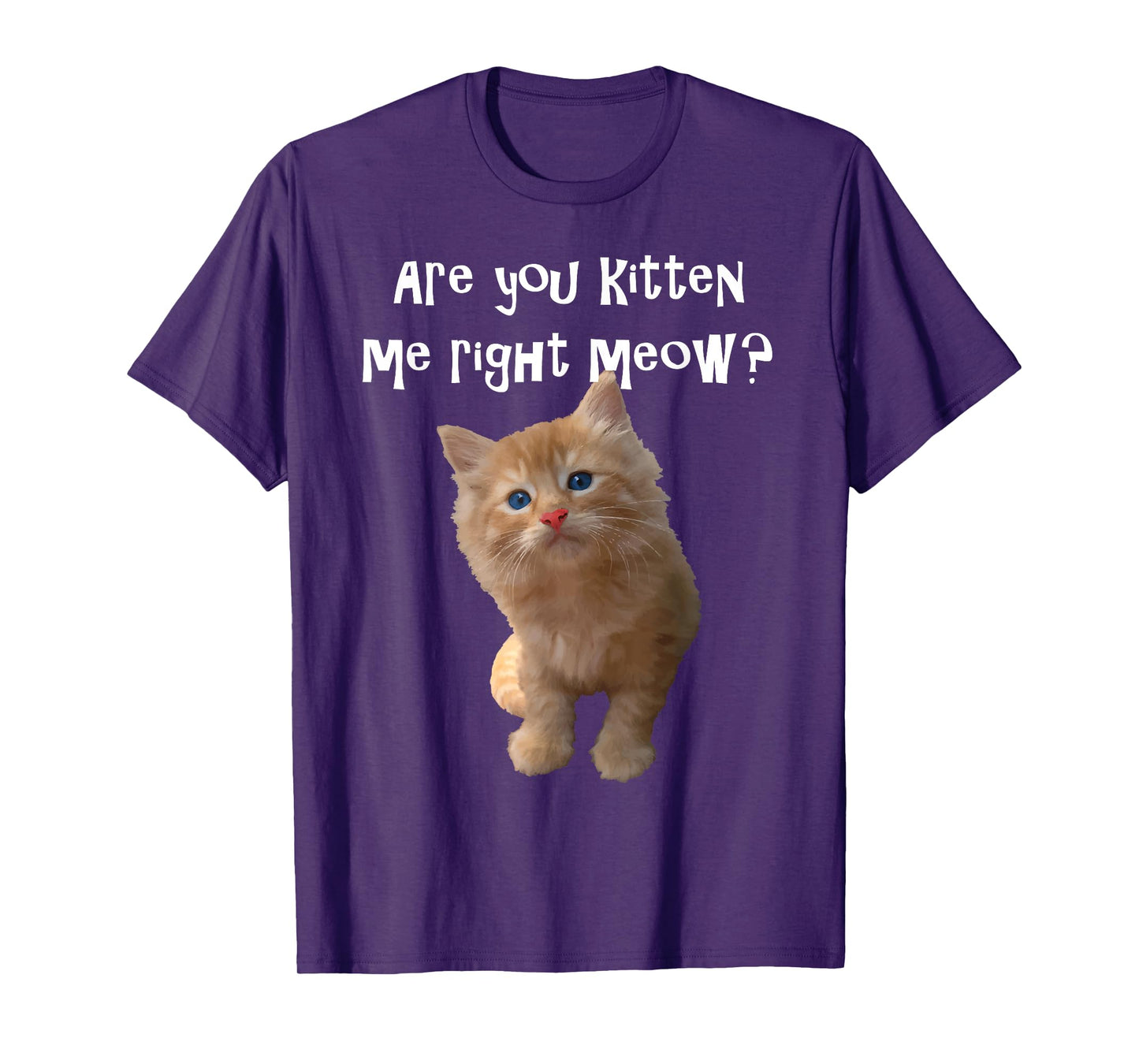 Are You Kitten Me Right Meow? T-shirt