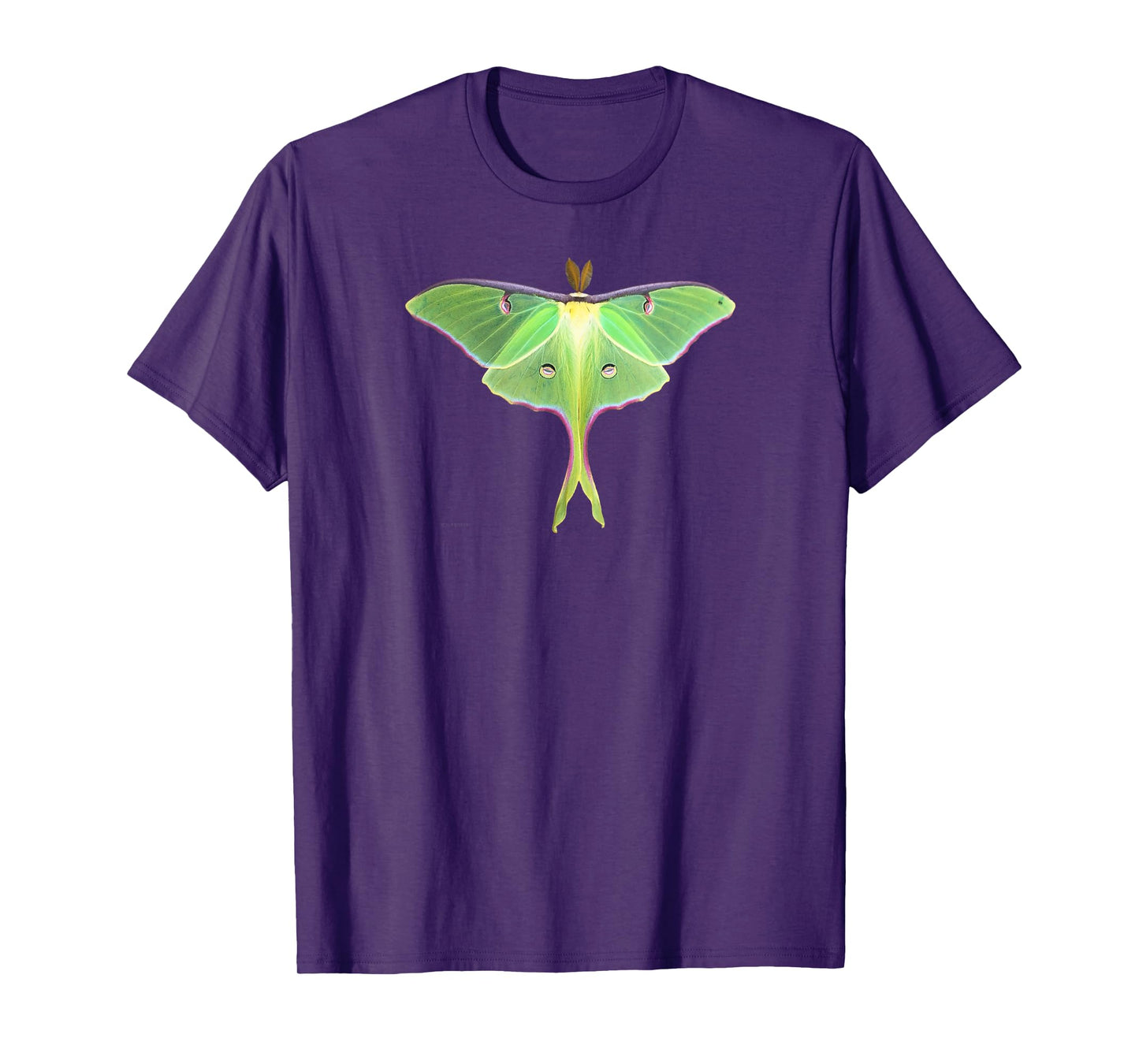 Luna Moth Beautiful Nature Butterfly Gift Lg T-Shirt