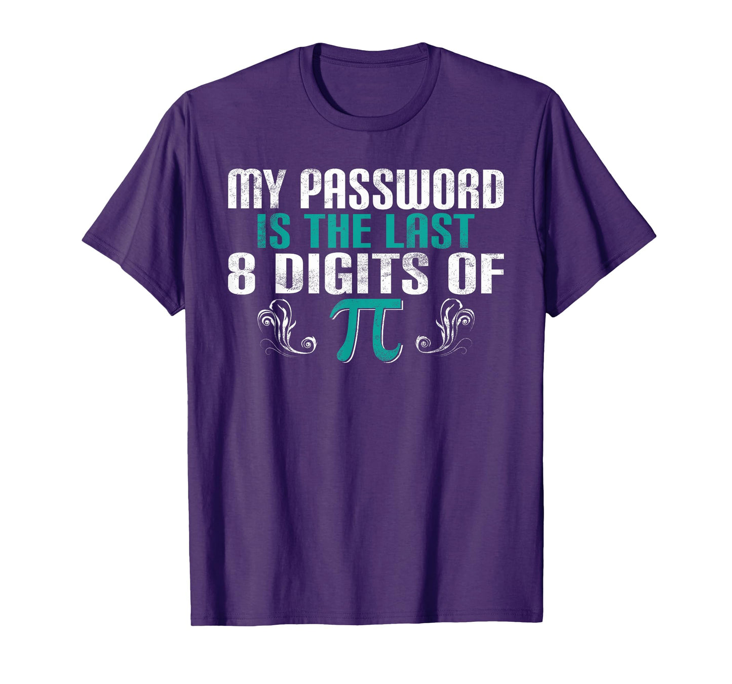My Password is the last 8 Digits of Pi funny Programmer T-Shirt