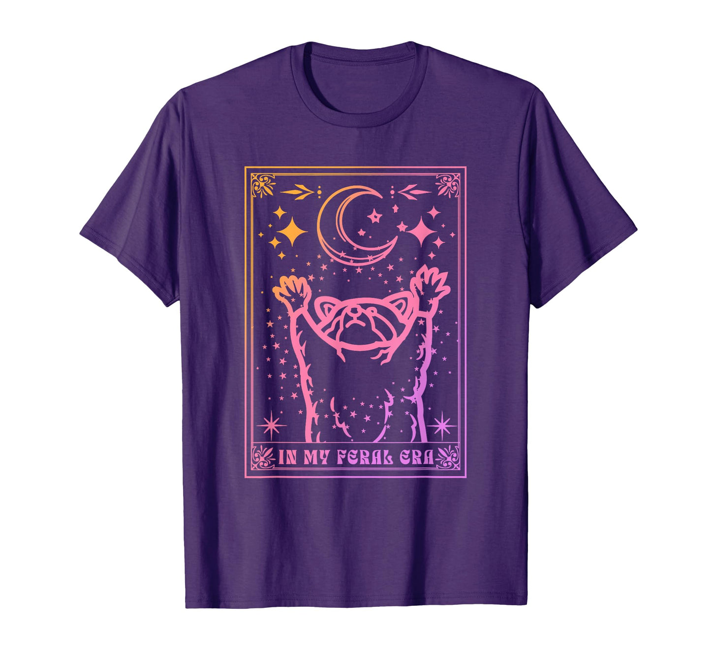 In My Feral Era Lover Raccoon Apparel T-Shirt
