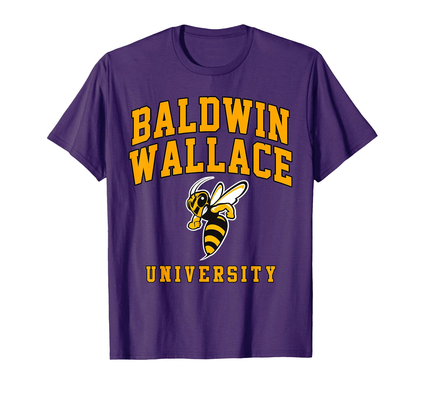Baldwin Wallace University Athletics Arch Retro Vintage T-Shirt