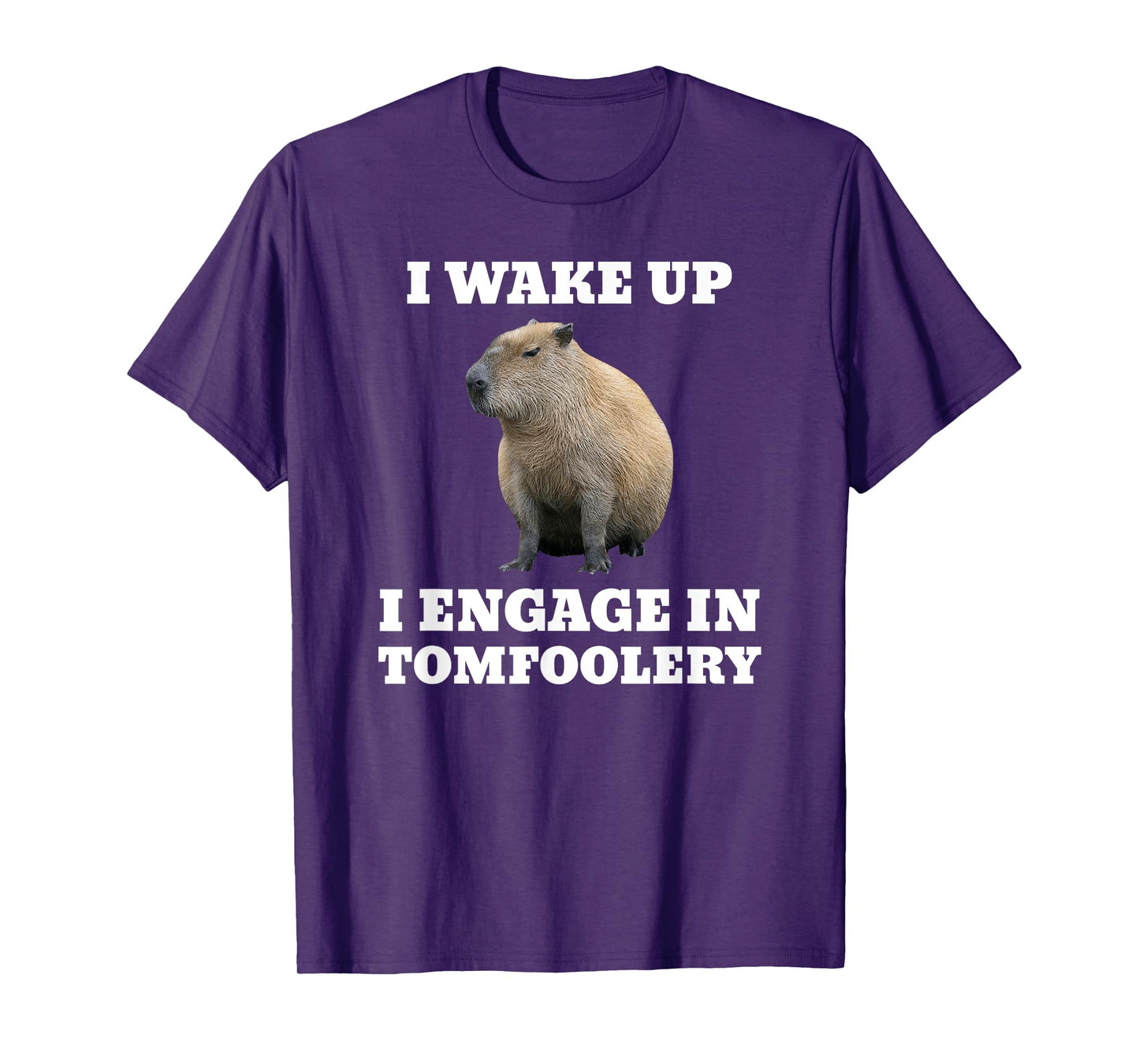 I Wake Up I Engage In Tomfoolery Meme Capybara T-Shirt