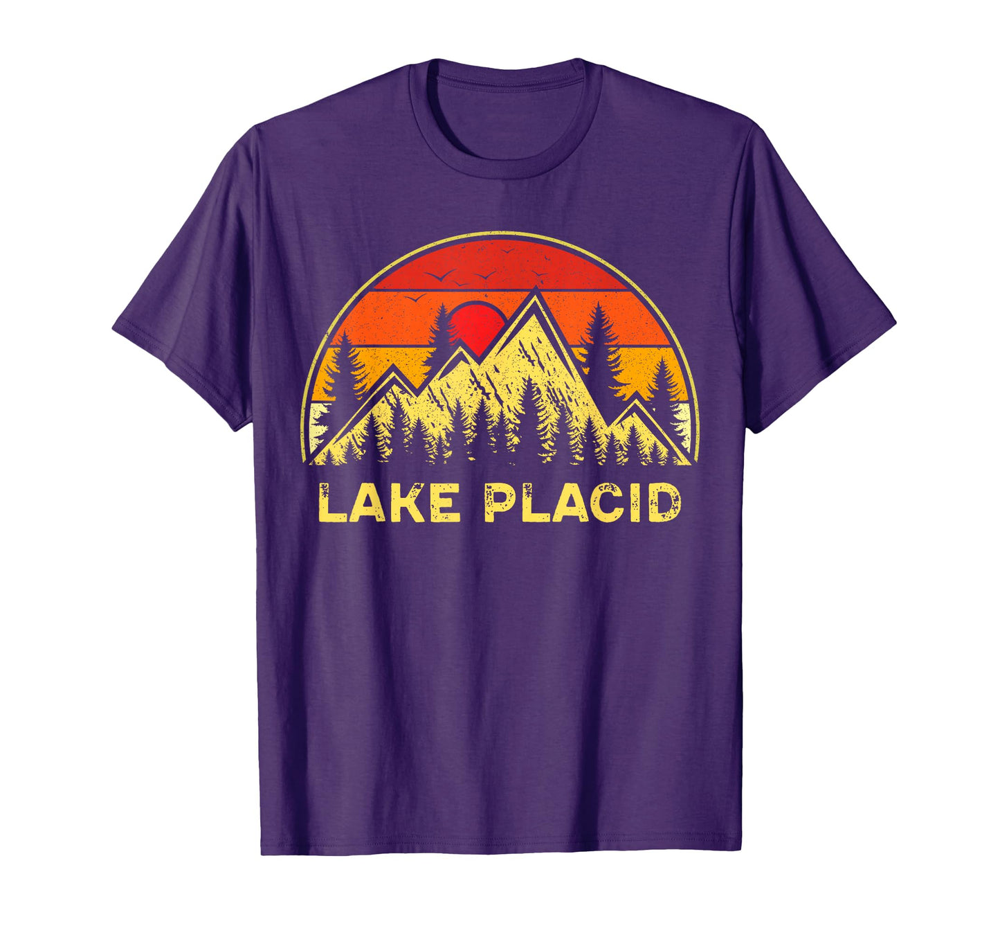 Vintage Lake Placid New York NY Mountains Hiking Souvenir T-Shirt