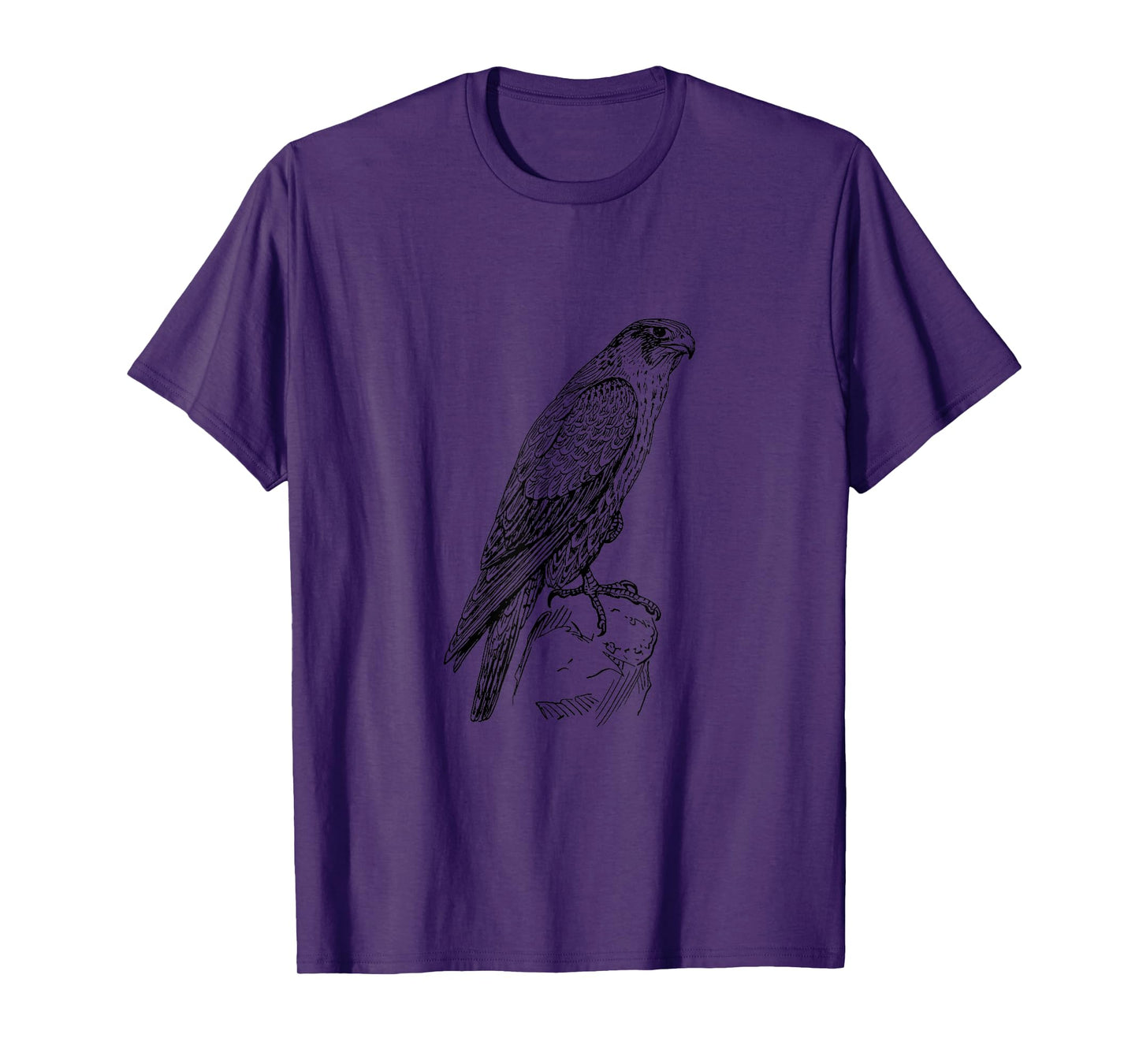 Peregrine Falcon Ornithology Falconer Bird Lover T-Shirt