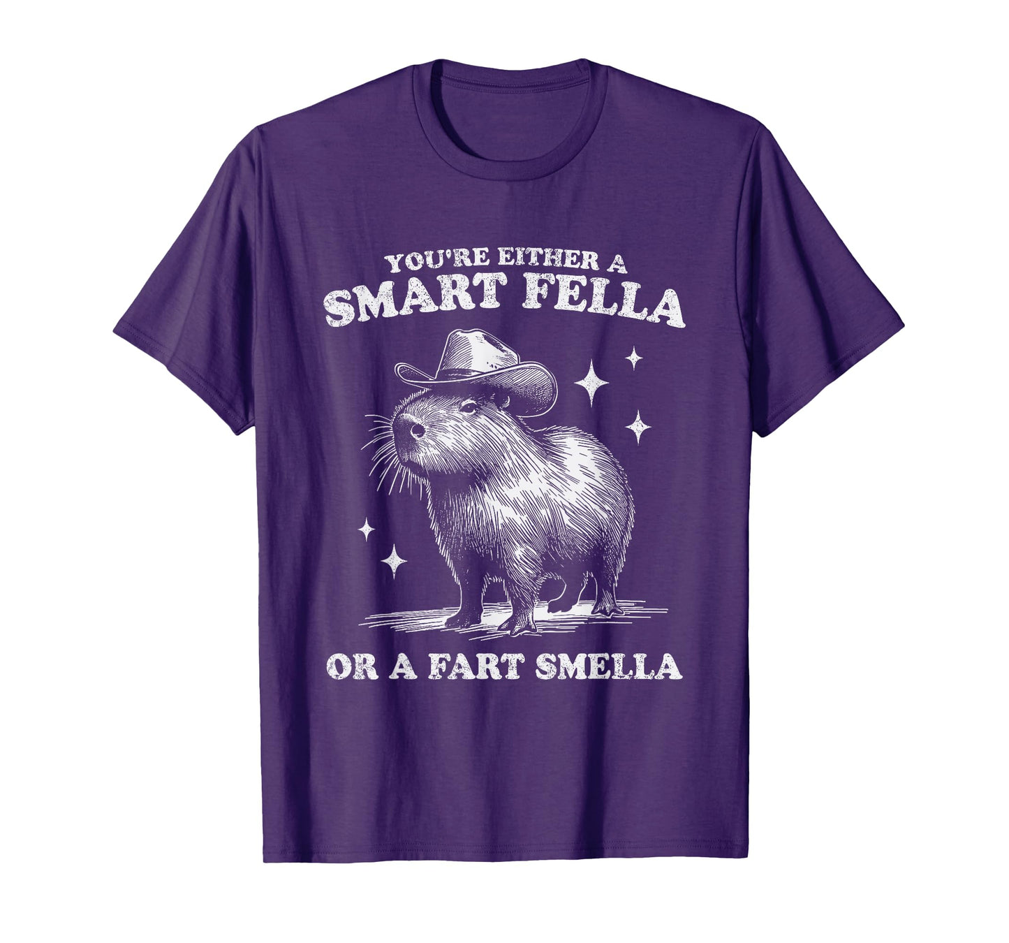 You're Either A Smart Fella Or A Fart Smella Capybara Funny T-Shirt