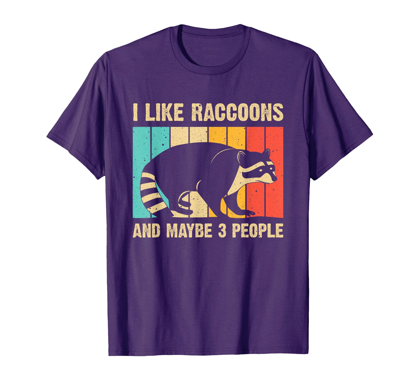 Funny Raccoon Design For Men Women Raccoon Lover Introvert T-Shirt, Black