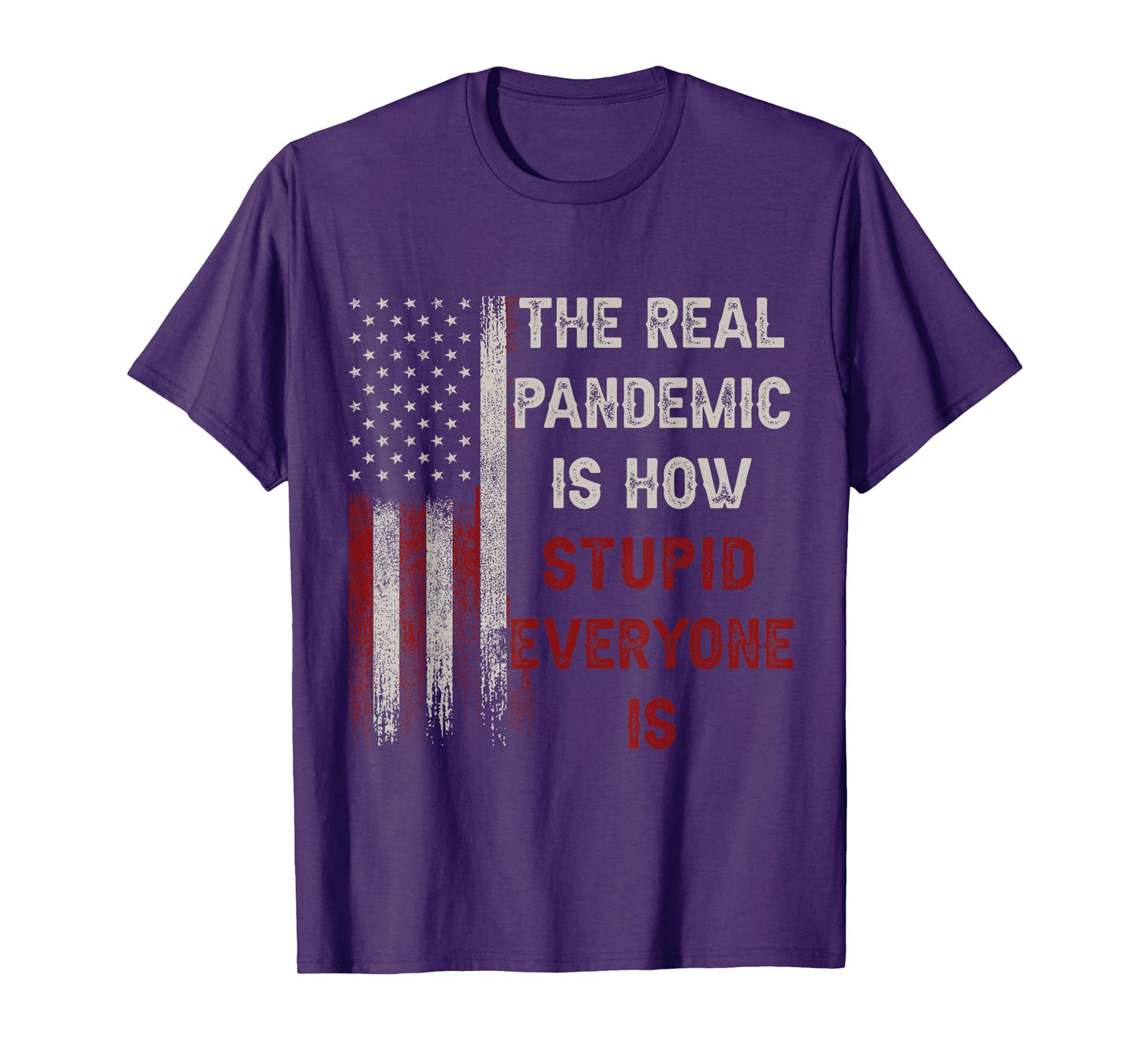 The Real Pandemic Is How Stupid Everyone Is 1776 Vintage T-Shirt