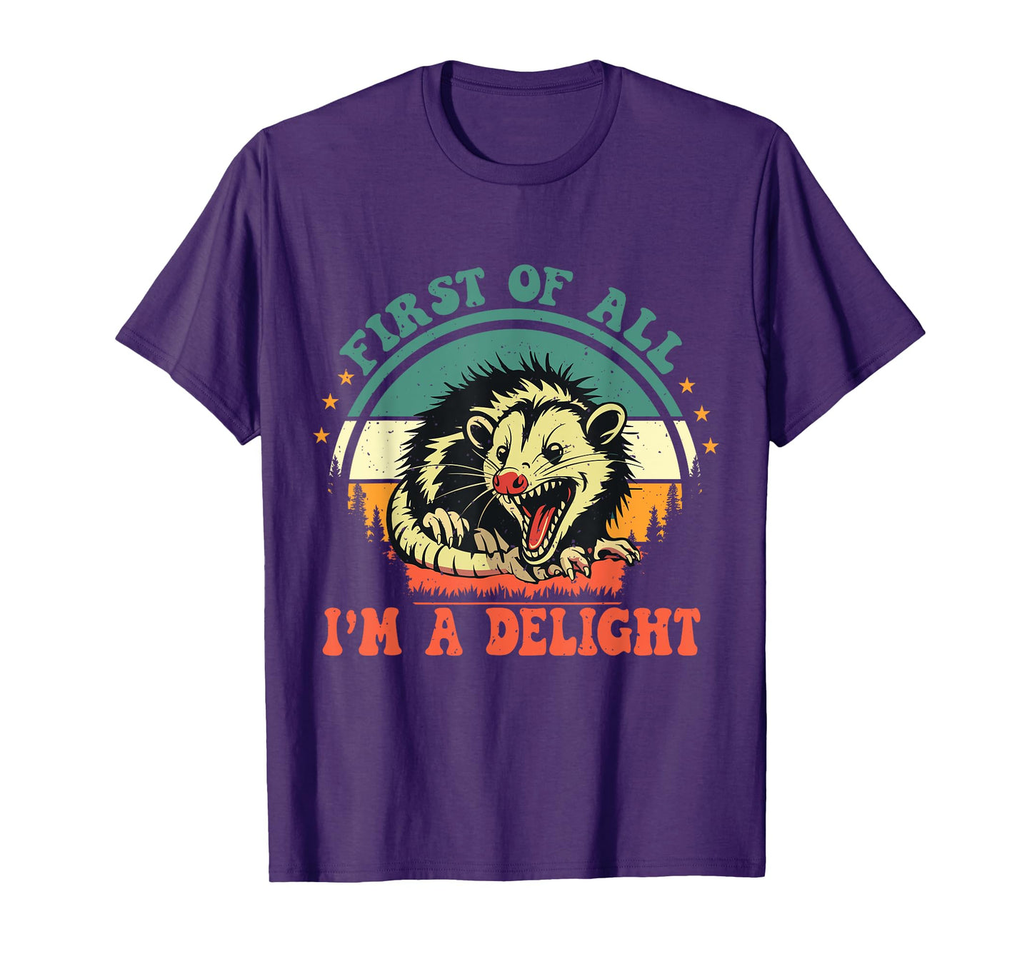Funny Racoon First Of All I'm A Delight Men Women T-Shirt