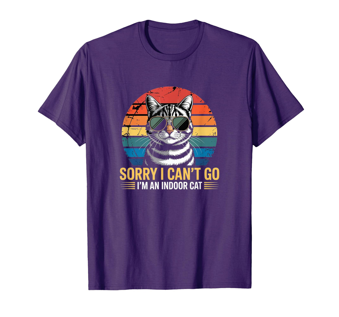 Sorry I Can’t Go – I’m an Indoor Cat Vintage Tee T-Shirt