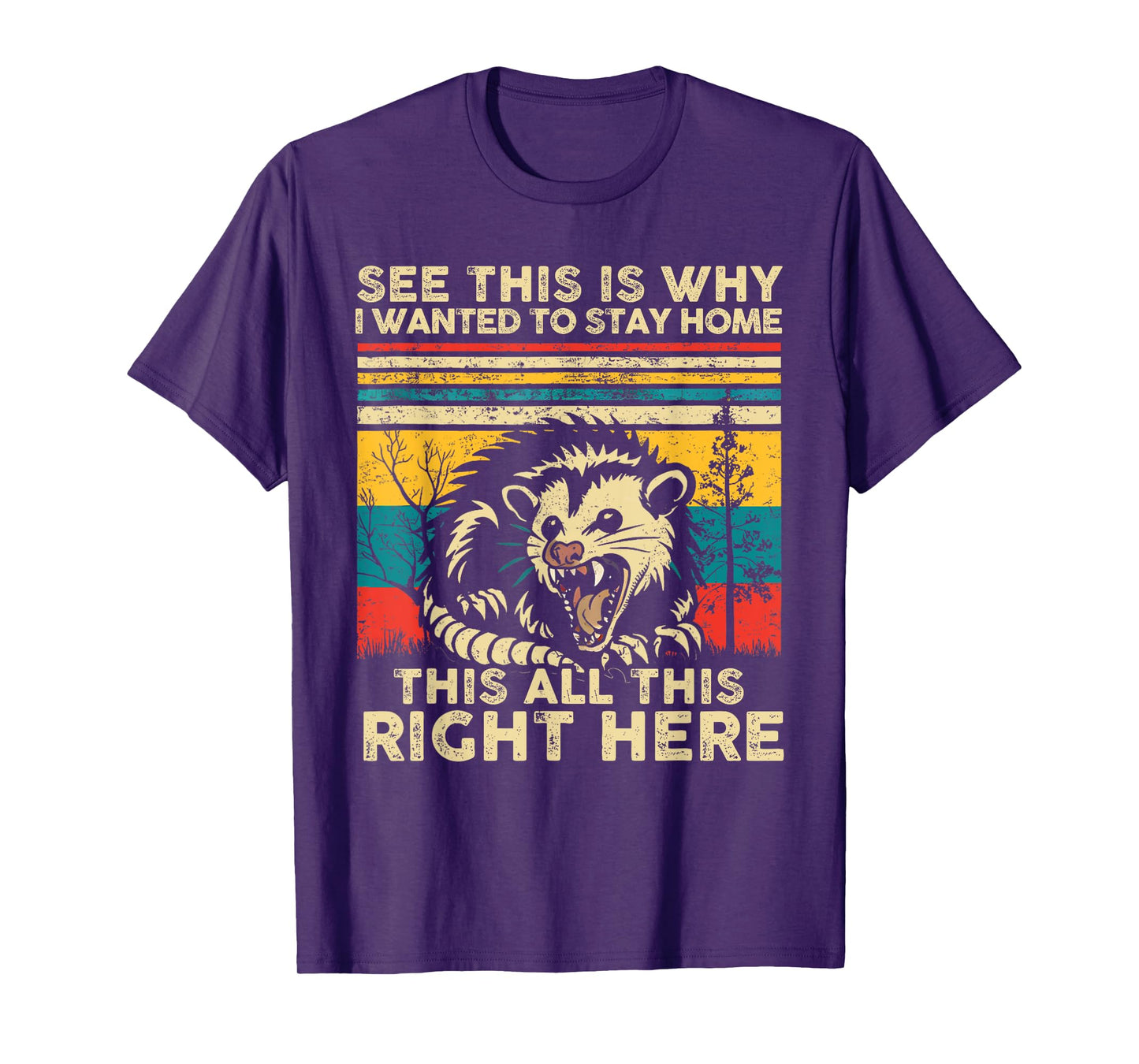 See This Is Why I Wanted To Stay Home This All This Right T-Shirt
