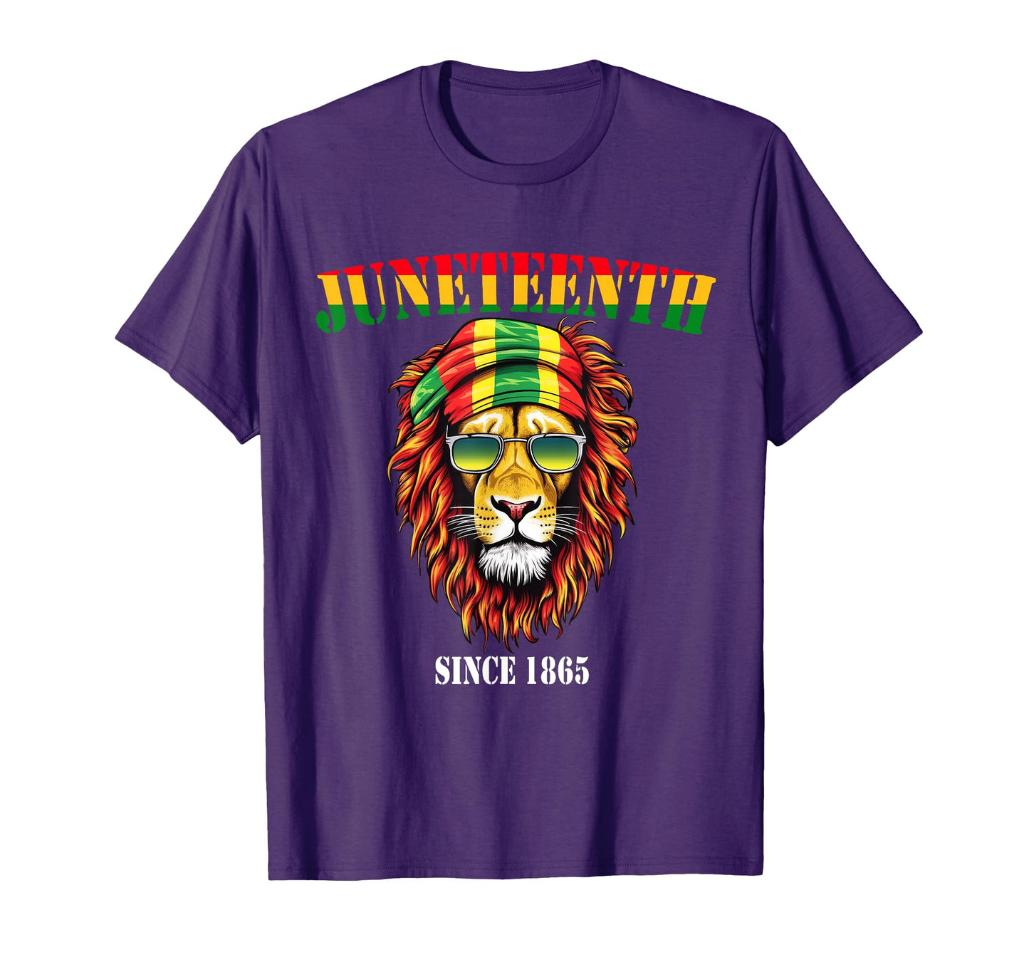 Awesome Lion Juneteenth Cool Black History June 19 2025 Flag T-Shirt