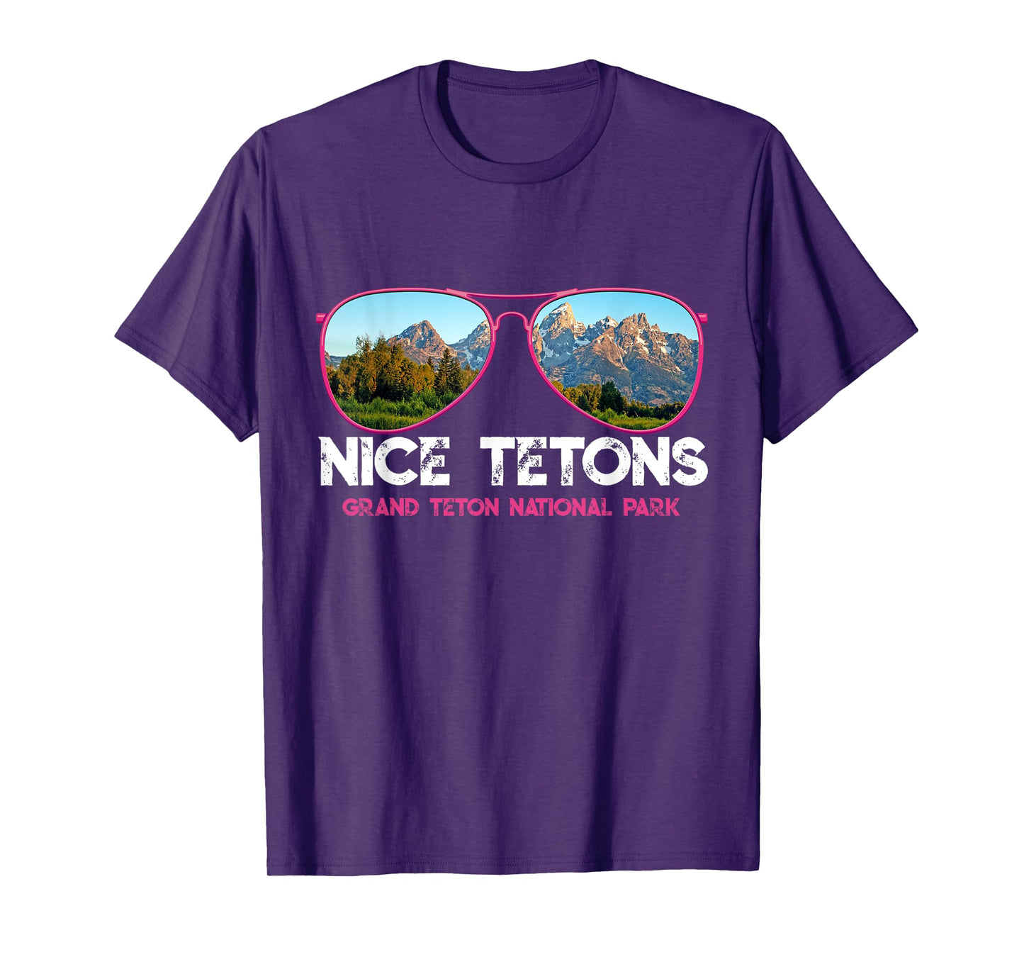 Punny Nice Tetons Teton Mountain T-Shirt