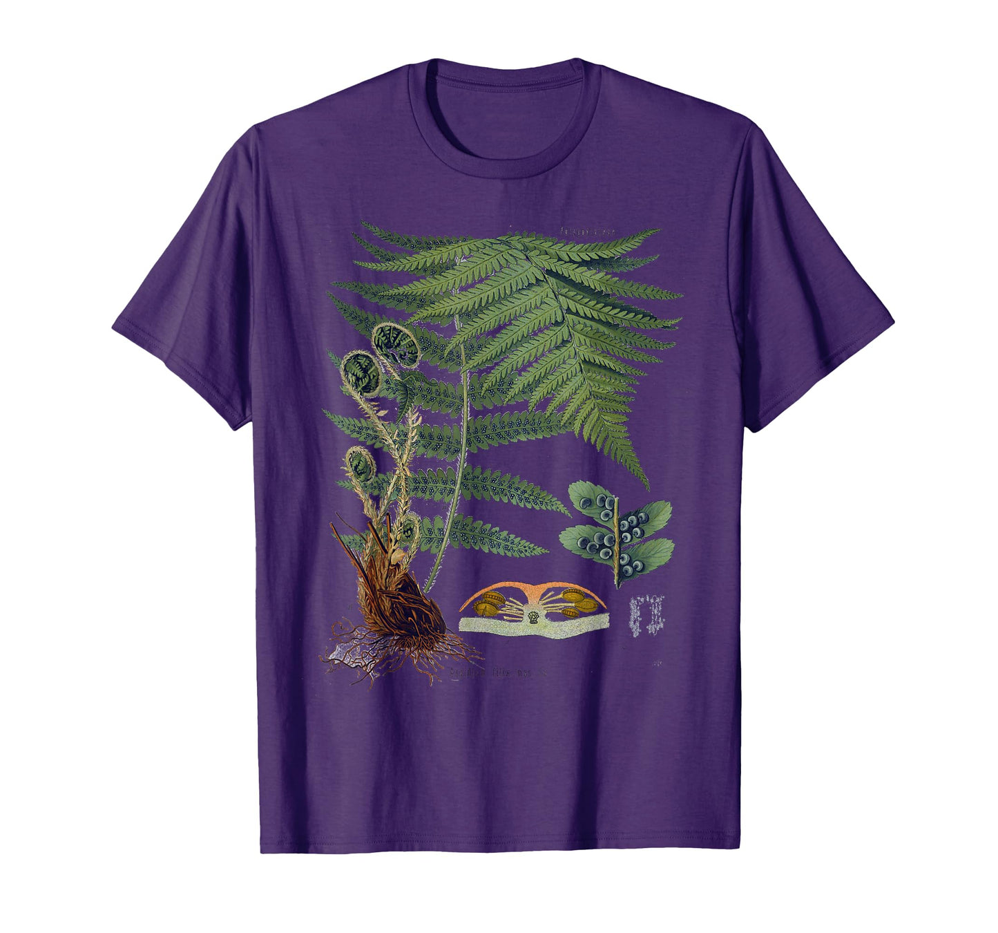 Fern Botanical Plants Botany T-Shirt