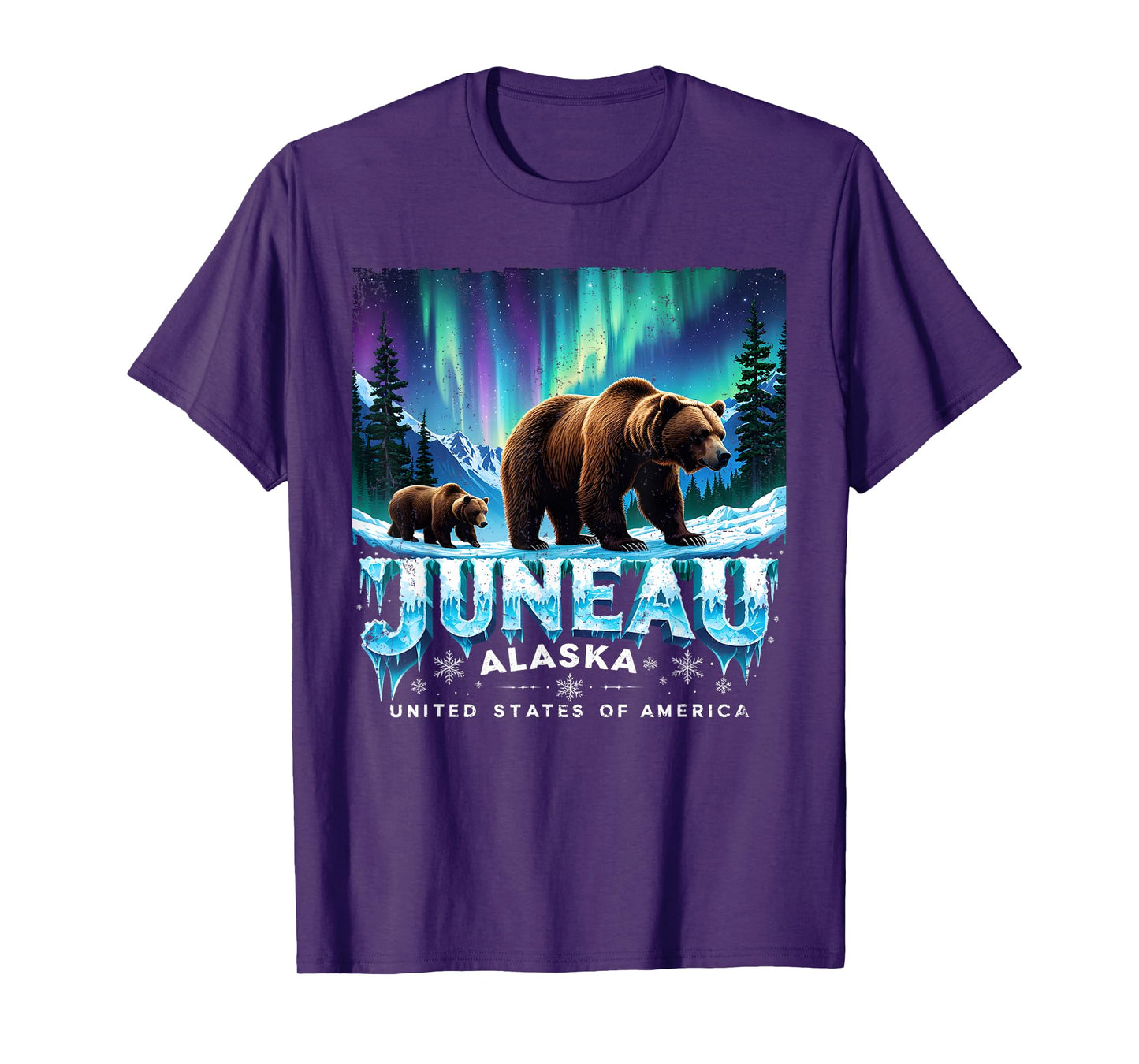Juneau Alaska Bear Northern Lights Gift Tee T-Shirt