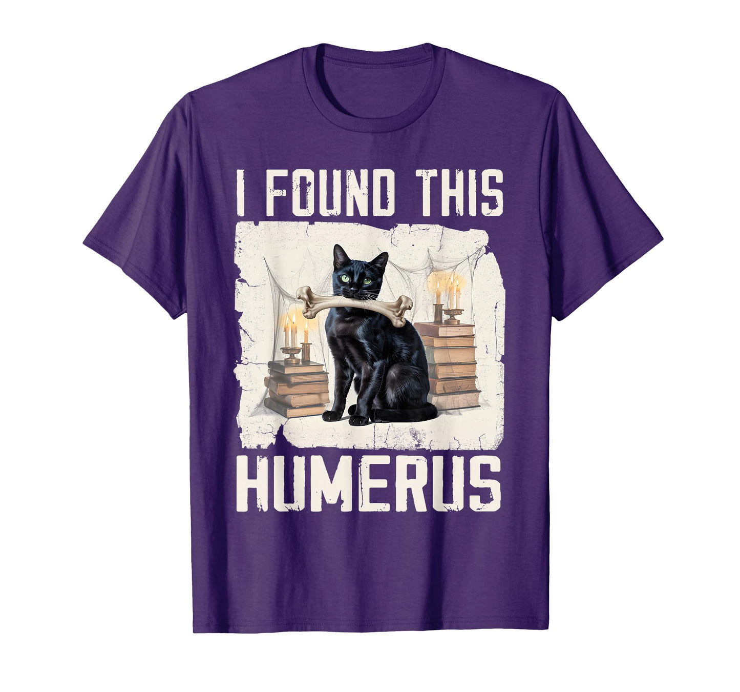 I Found This Humerus Vintage Funny Scary Black Cat Halloween T-Shirt