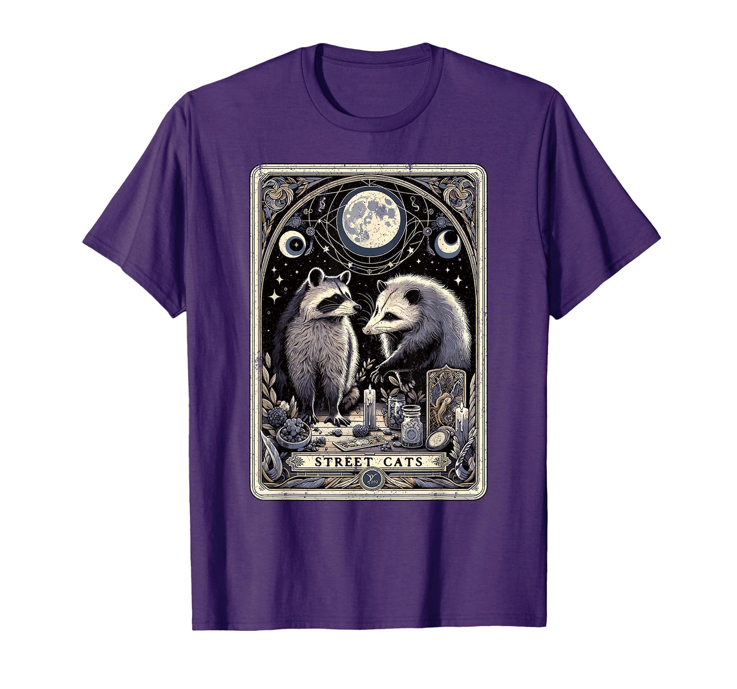 Raccoon Opossum Street Cats Tarot Card Witchcraft Possum T-Shirt