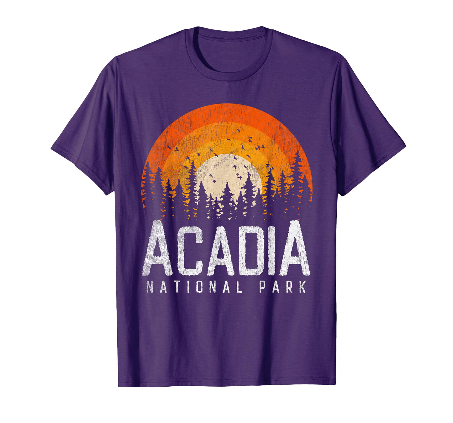 Acadia - National Park Vintage Men Women 70s 80s Outdoor T-Shirt