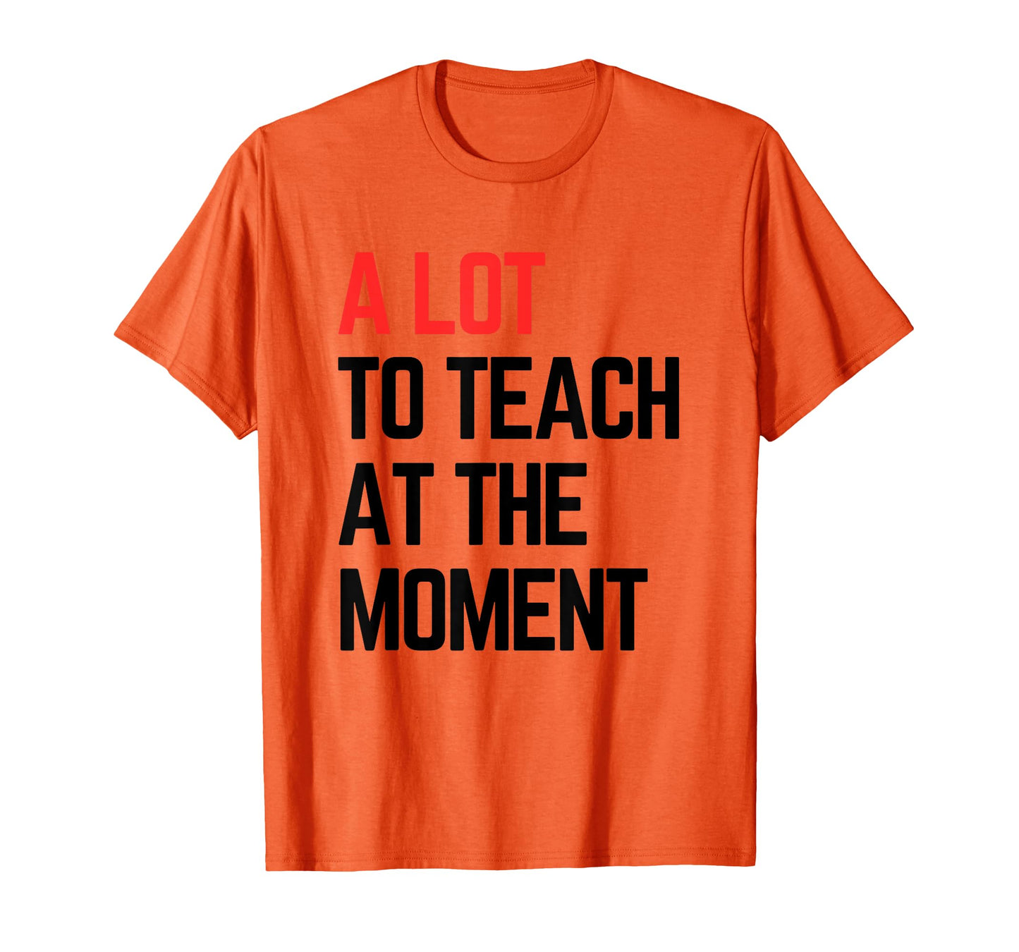 A Lot to Teach at the Moment Vibes, Inspiring Lessons Moment T-Shirt