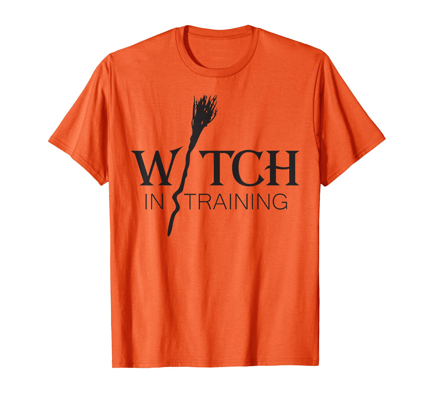 Witch in Training Fantasy Broomstick T-Shirt T-Shirt