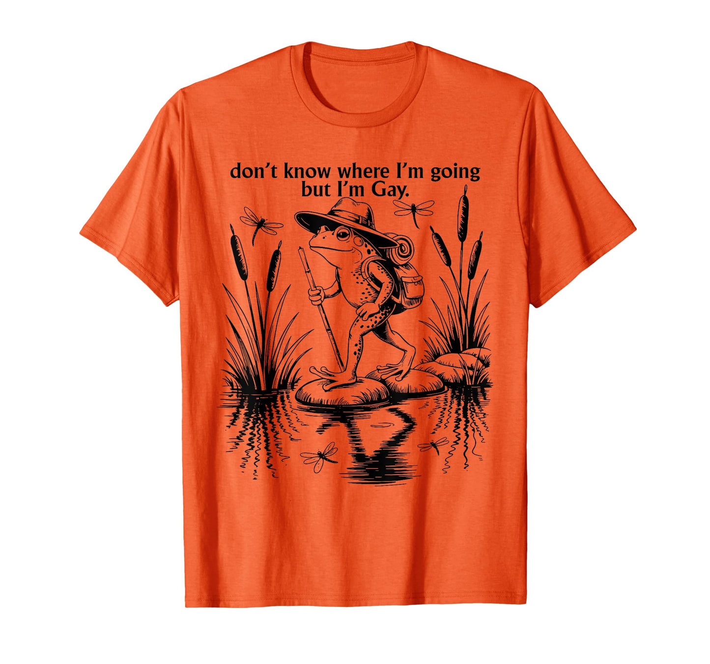 Don't Know Where I'm Going But I'm Gay LGBTQ Pride Frog Meme T-Shirt