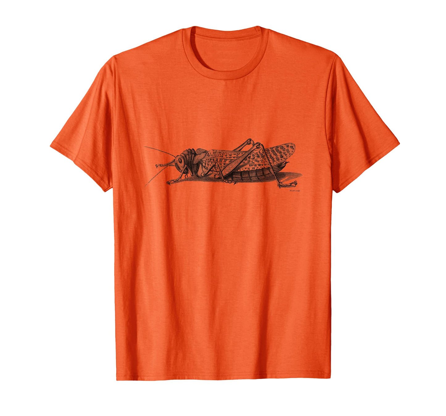 Cricket T-Shirt. Vintage Cricket Insect Tee T-Shirt