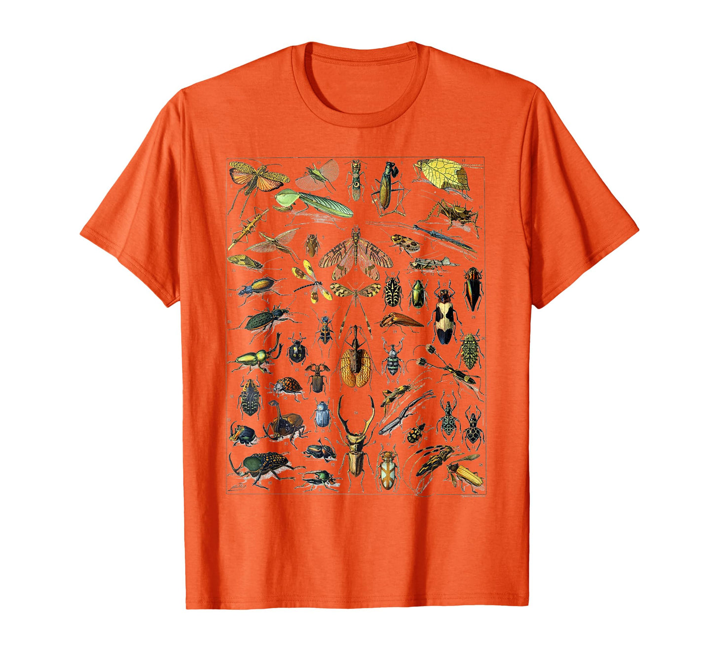 Insect Bug Entomology Print Gift Bug Print T-Shirt