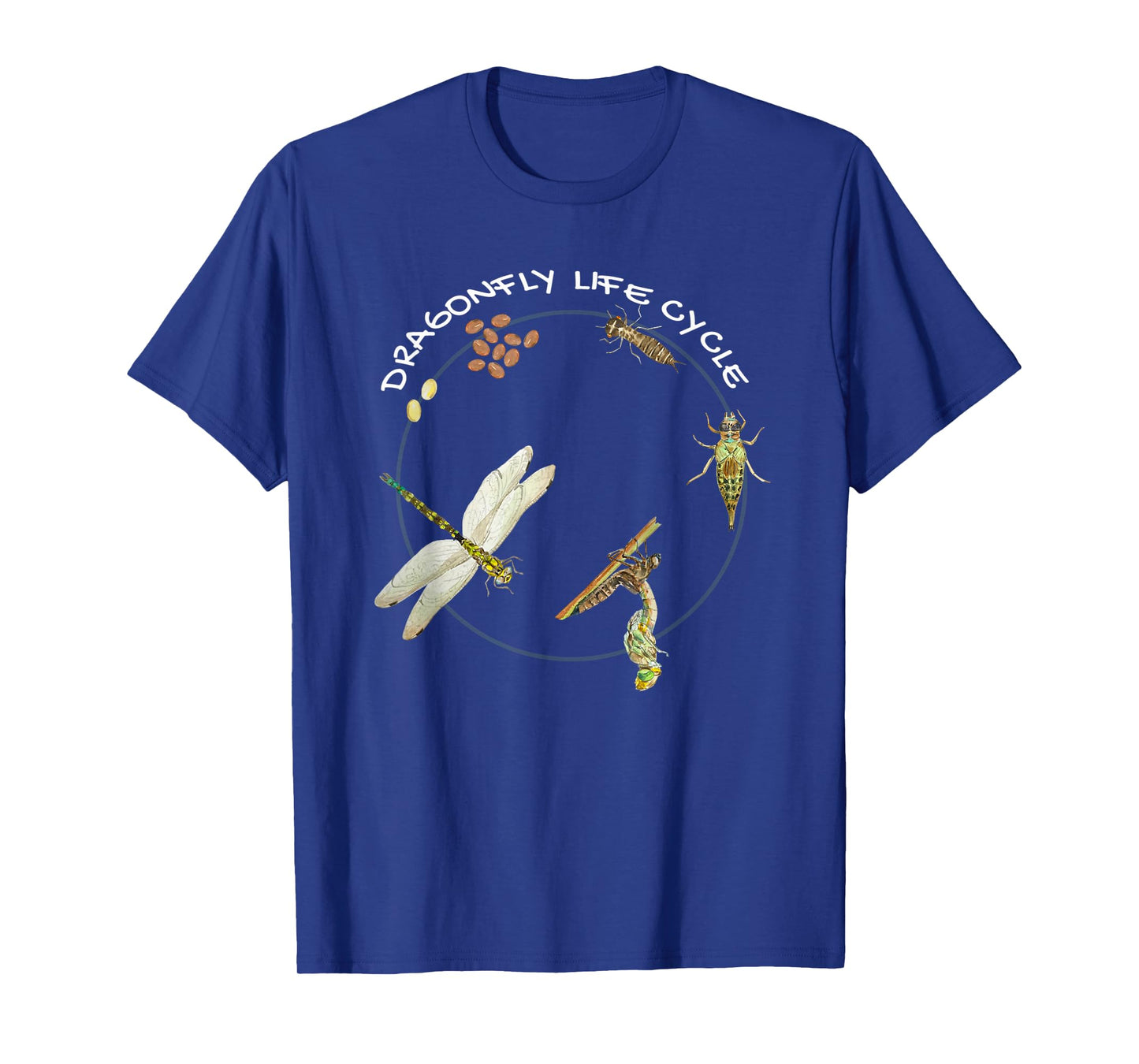 Dragonfly Life Cycle Facts 3 Stages Insect Development T-Shirt