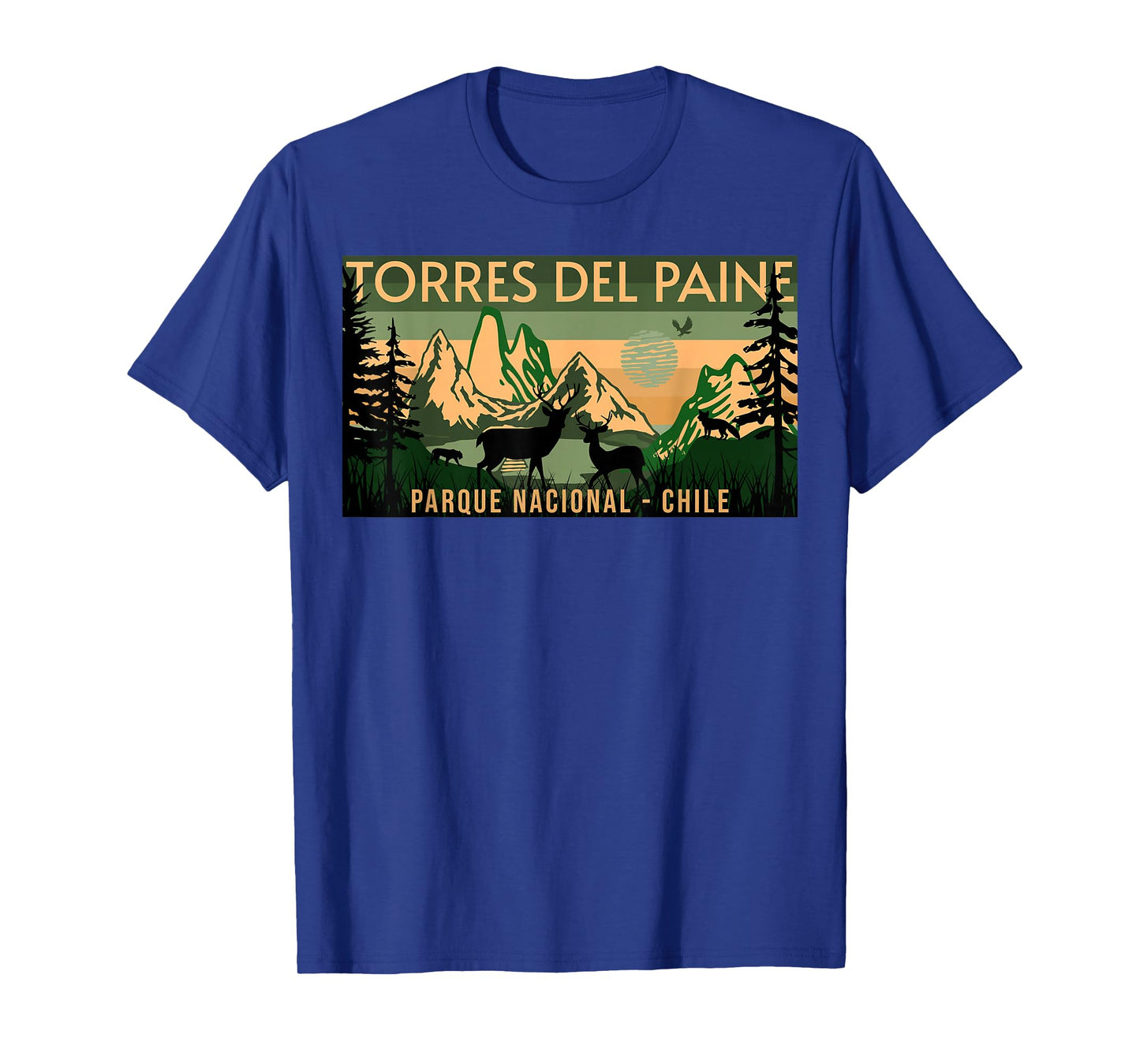 Parque Nacional Torres del Paine Chile T-Shirt, Small, Black