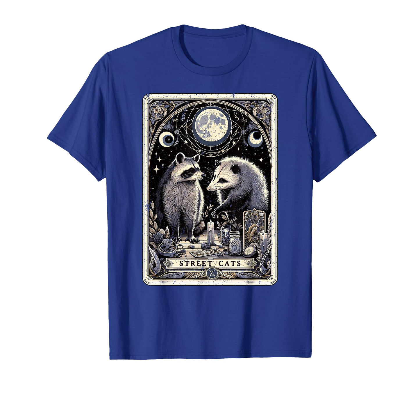 Raccoon Opossum Street Cats Tarot Card Witchcraft Possum T-Shirt