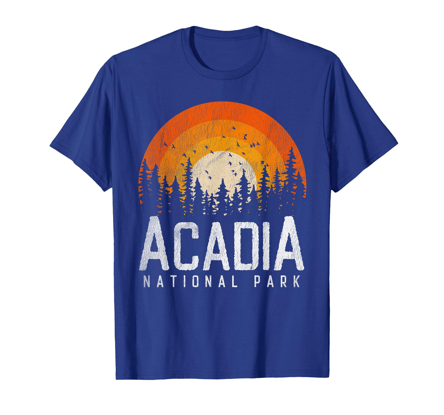 Acadia - National Park Vintage Men Women 70s 80s Outdoor T-Shirt
