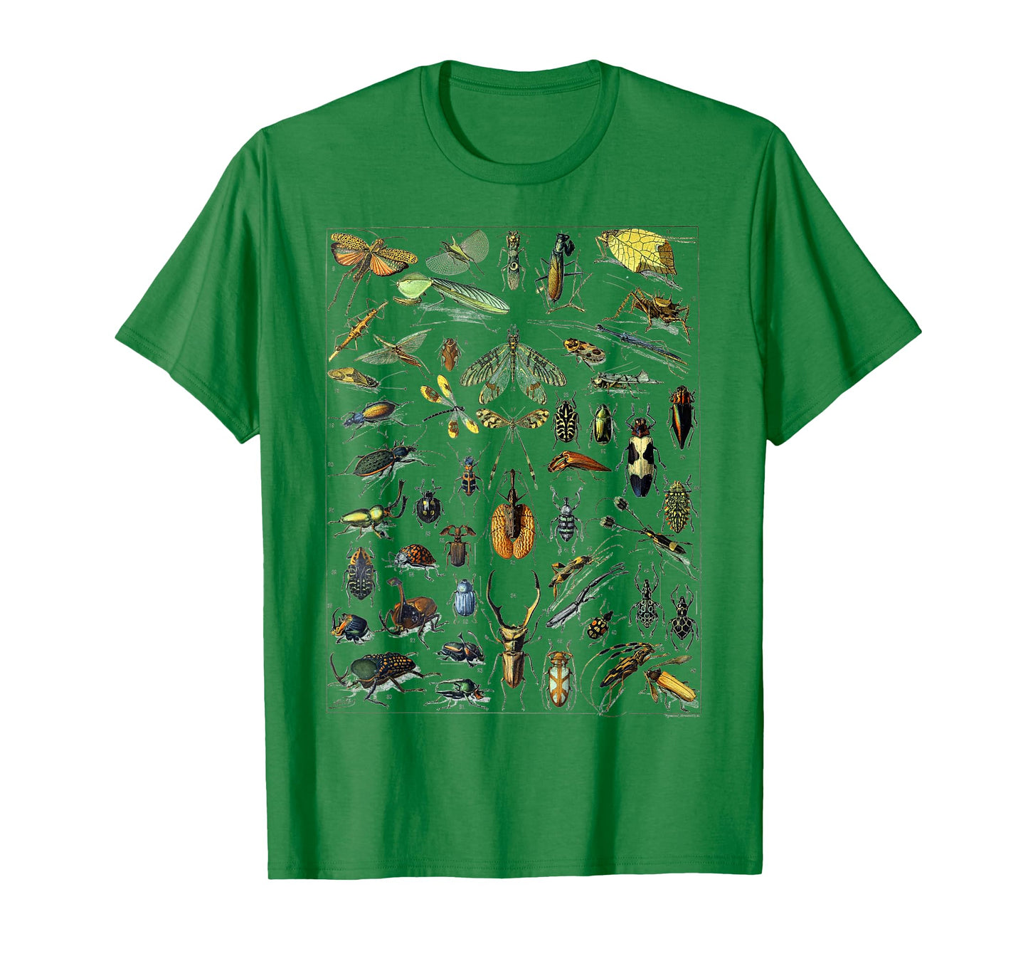 Insect Bug Entomology Print Gift Bug Print T-Shirt