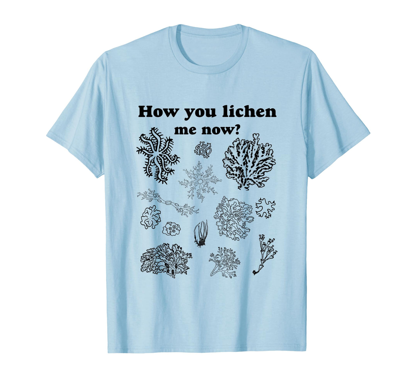 How You Lichen Me Now? Funny Vintage Moss Pun Graphic Tee T-Shirt