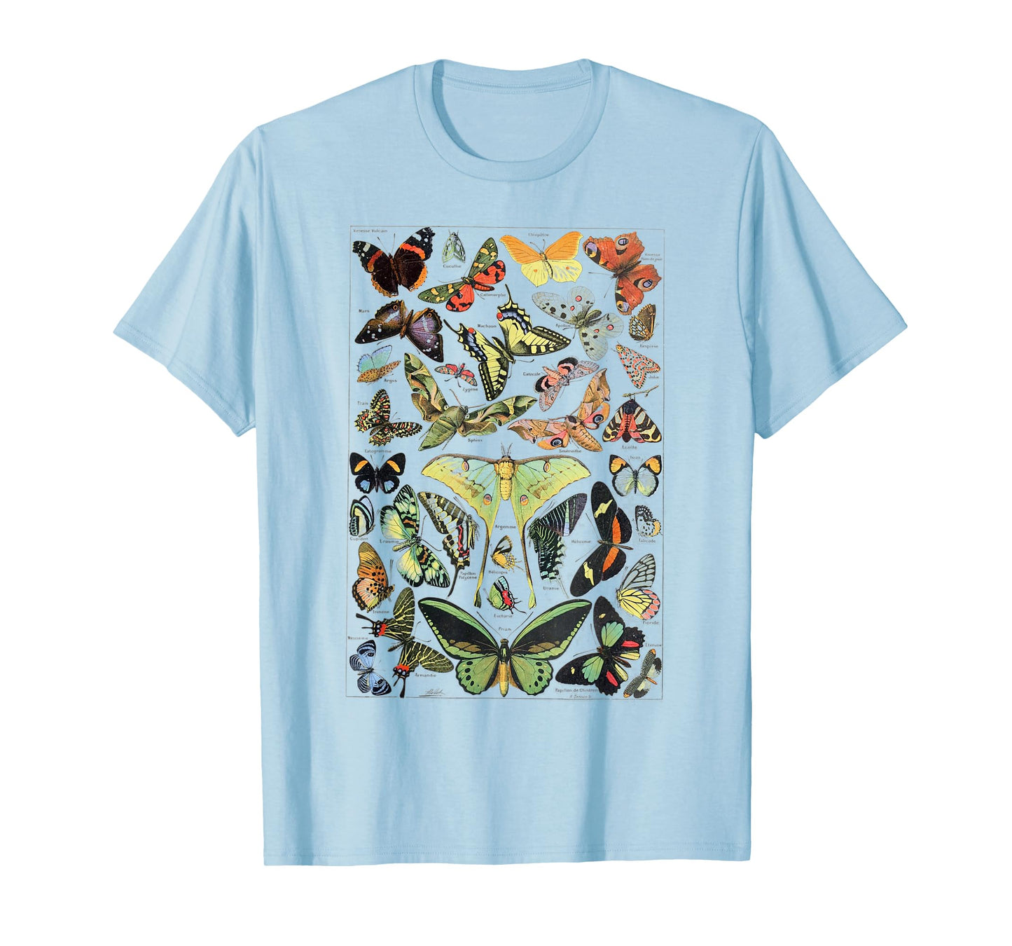 Vintage Butterflies Butterfly Collection scientific T-Shirt