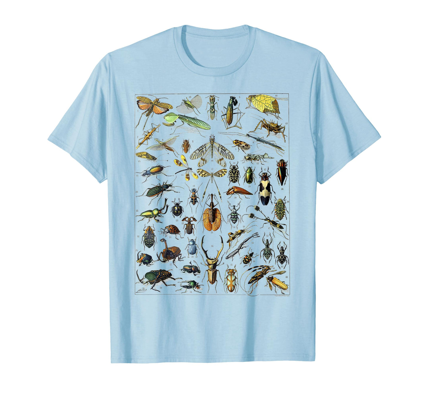 Insect Bug Entomology Print Gift Bug Print T-Shirt
