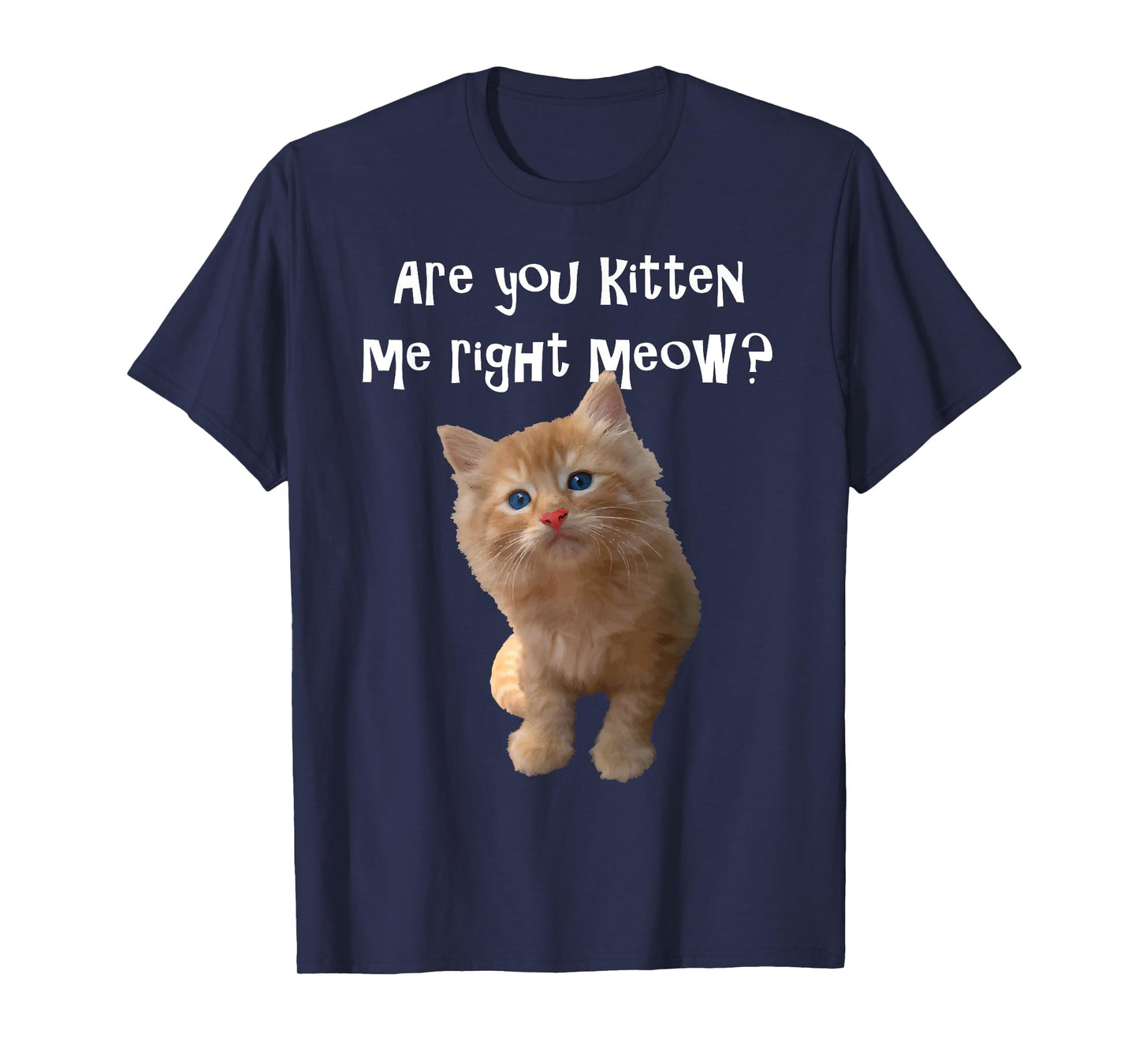 Are You Kitten Me Right Meow? T-shirt