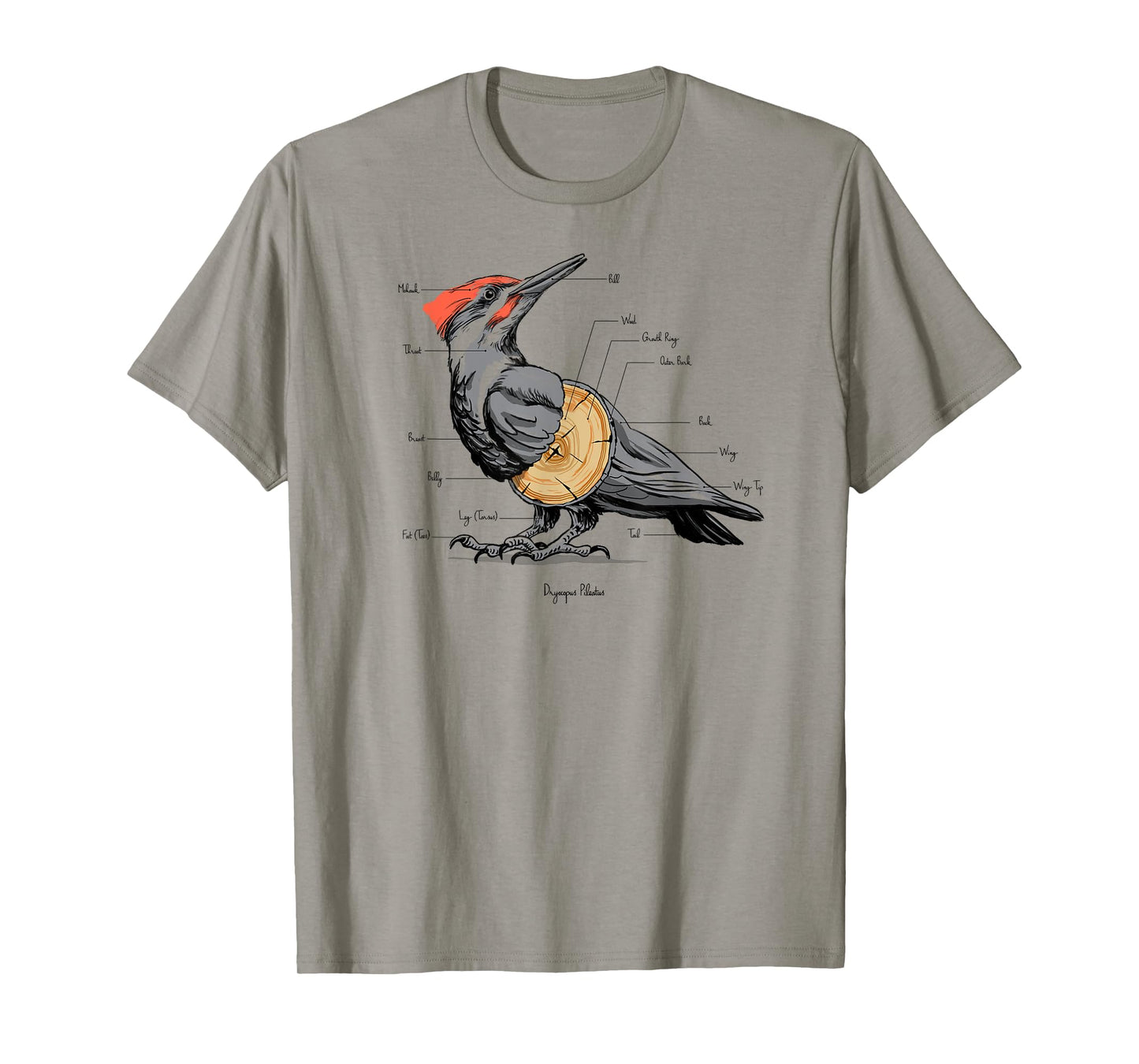 Woodpecker anatomy T-Shirt