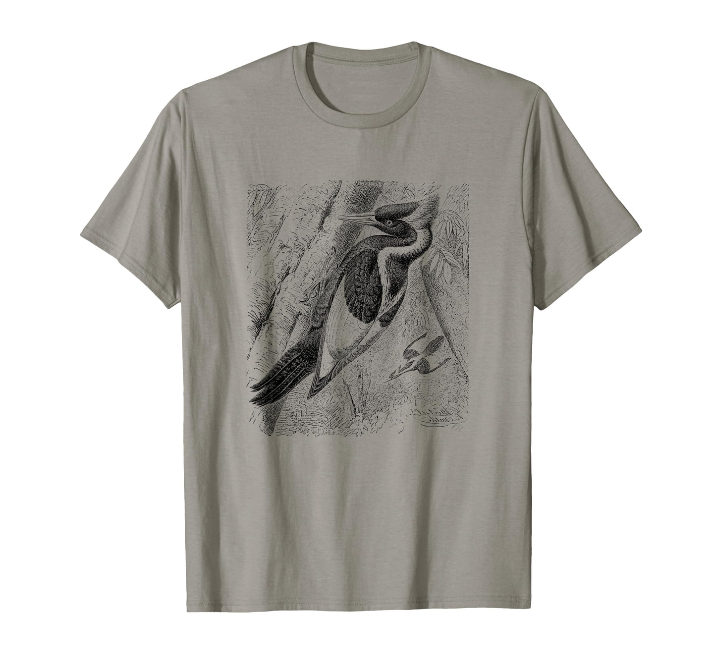 Ivory Billed Woodpecker Print T-Shirt T-Shirt