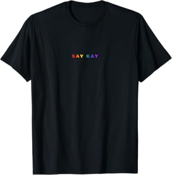 Small Say Gay Rainbow Subtle Pride Florida Equality LGBTQ T-Shirt